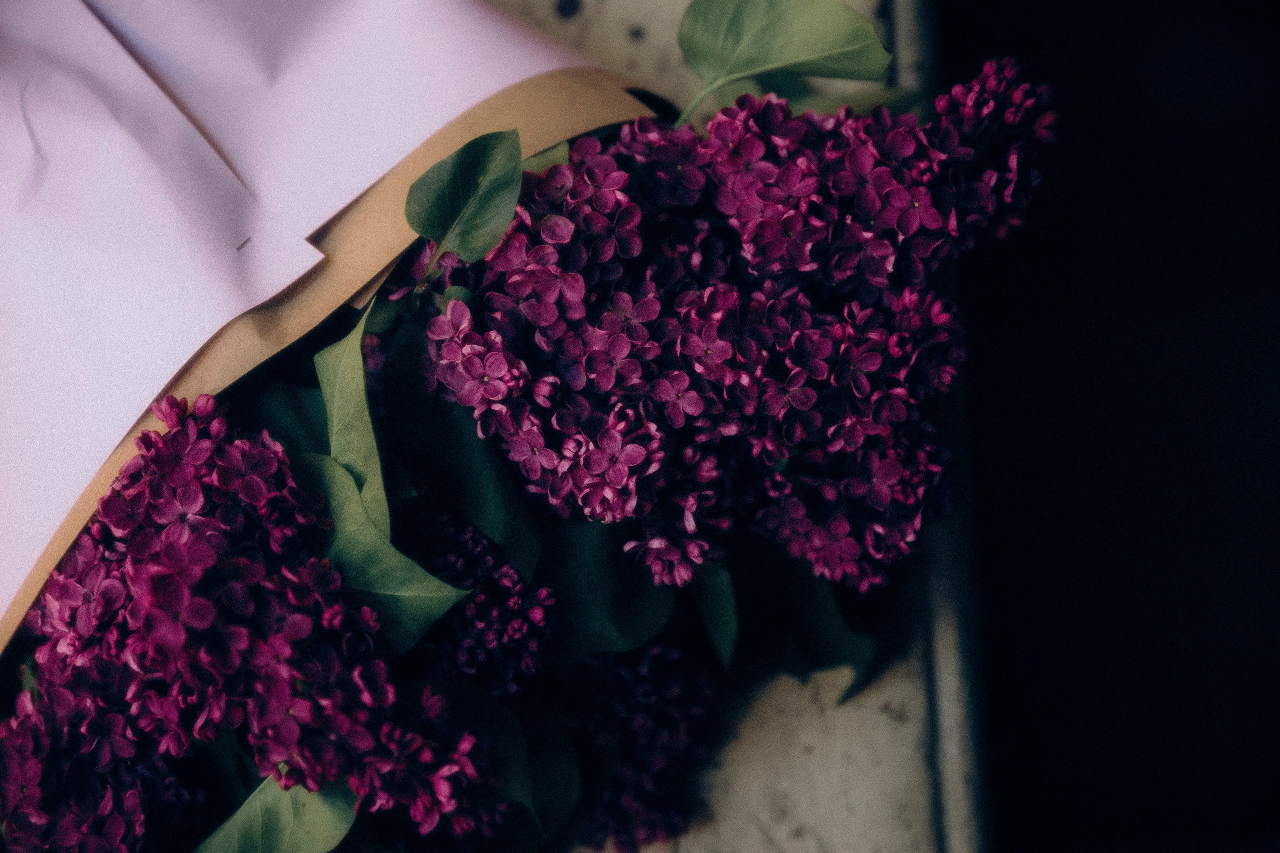 Саваш и Ксения. Свадебный фотограф Грузия Тбилиси