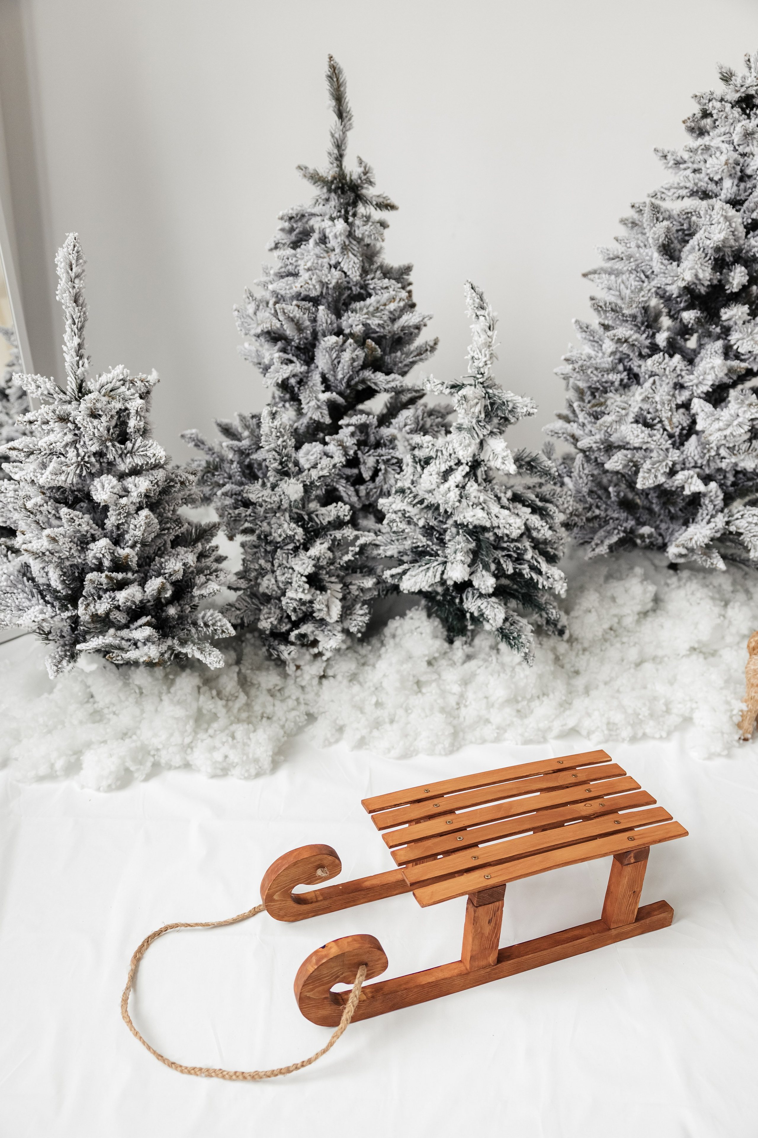 Студия Простор. Семейный и детский фотограф в Твери Марина Марамыгина