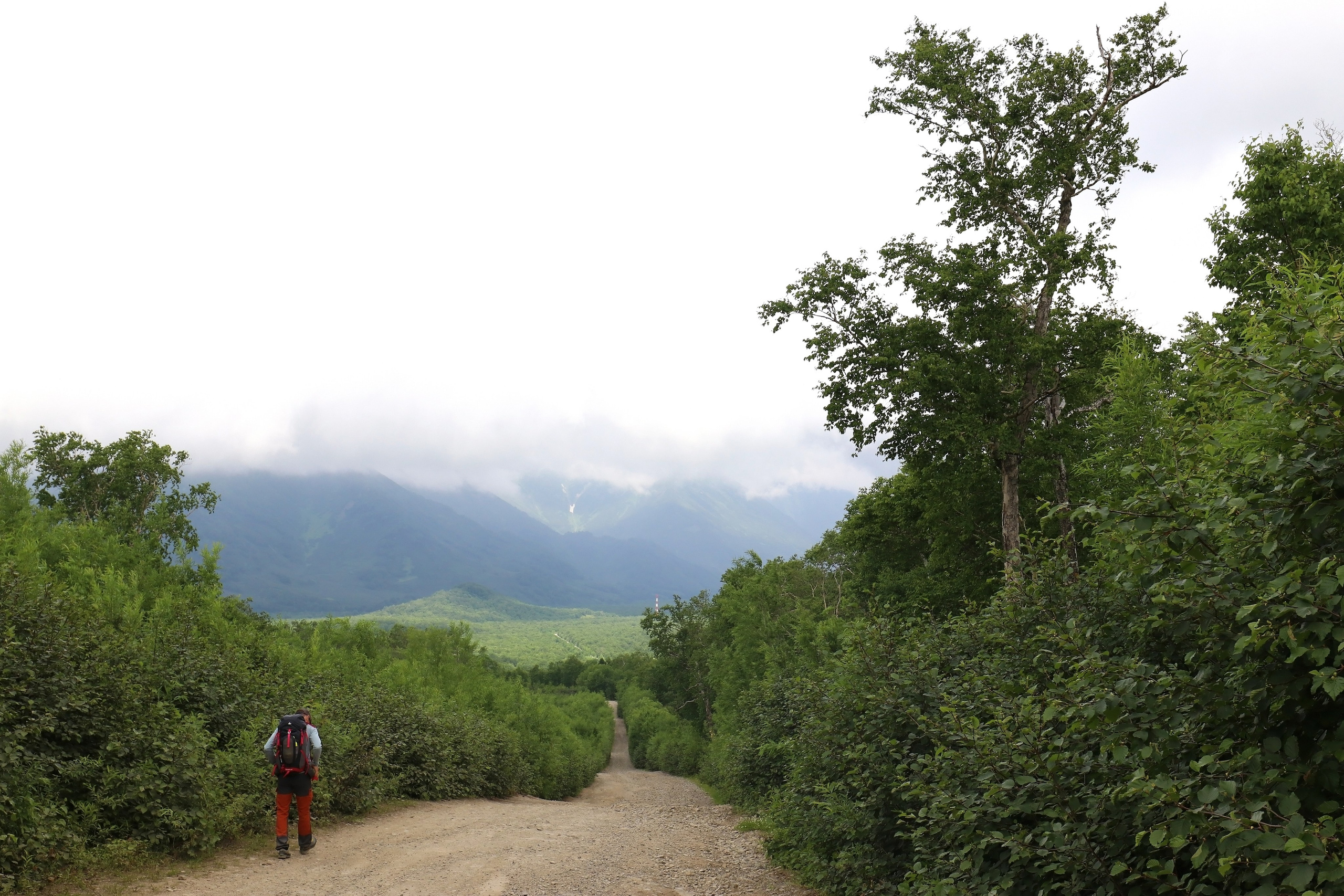 Камчатка и о. Парамушир. Июль 2024. Путешественник-фотограф из Санкт-Петербурга Татьяна Свистулина