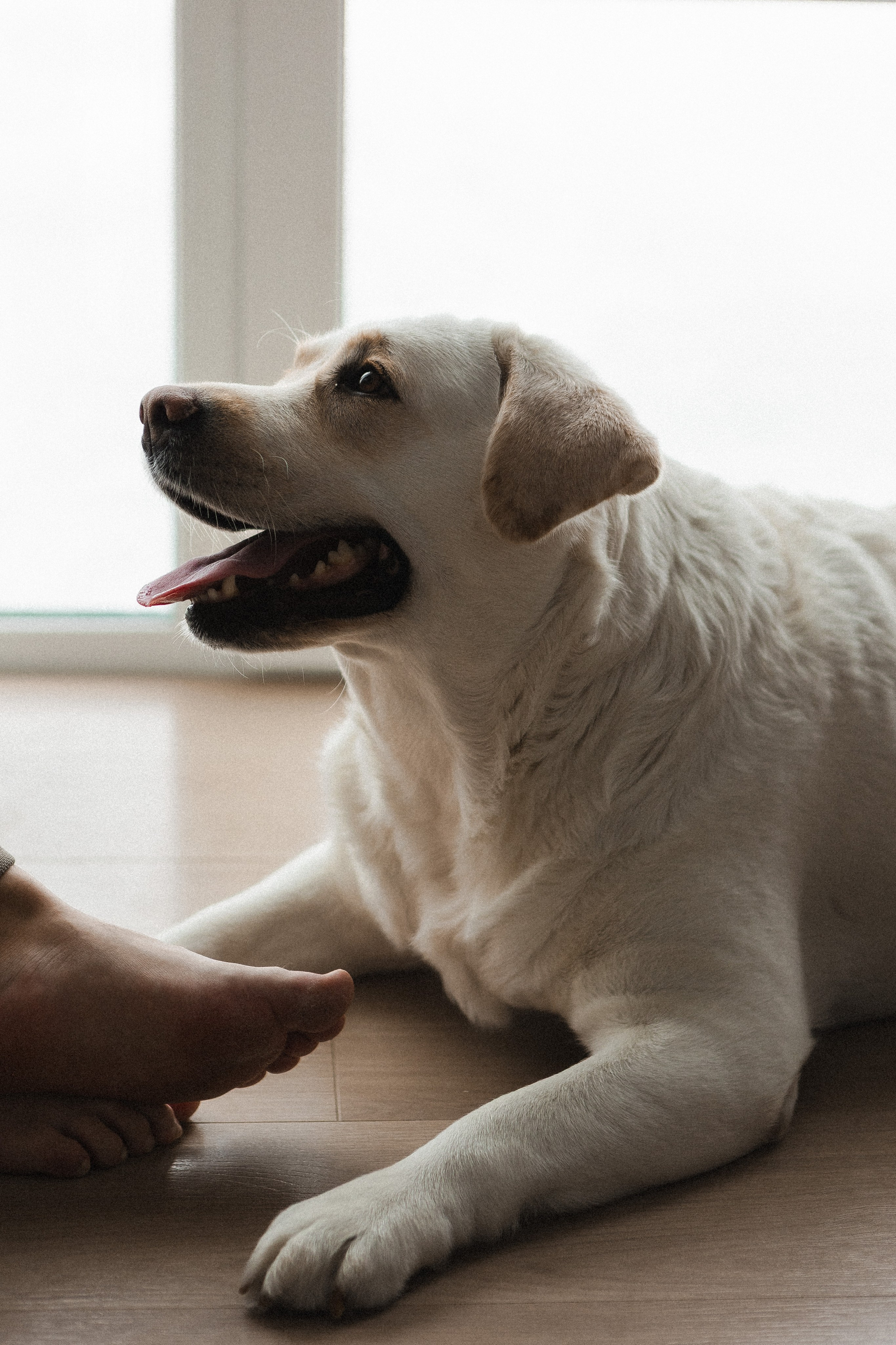 Миле 1 годик. Семейный фотограф в Нижнем Новгороде Доронина Юлия
