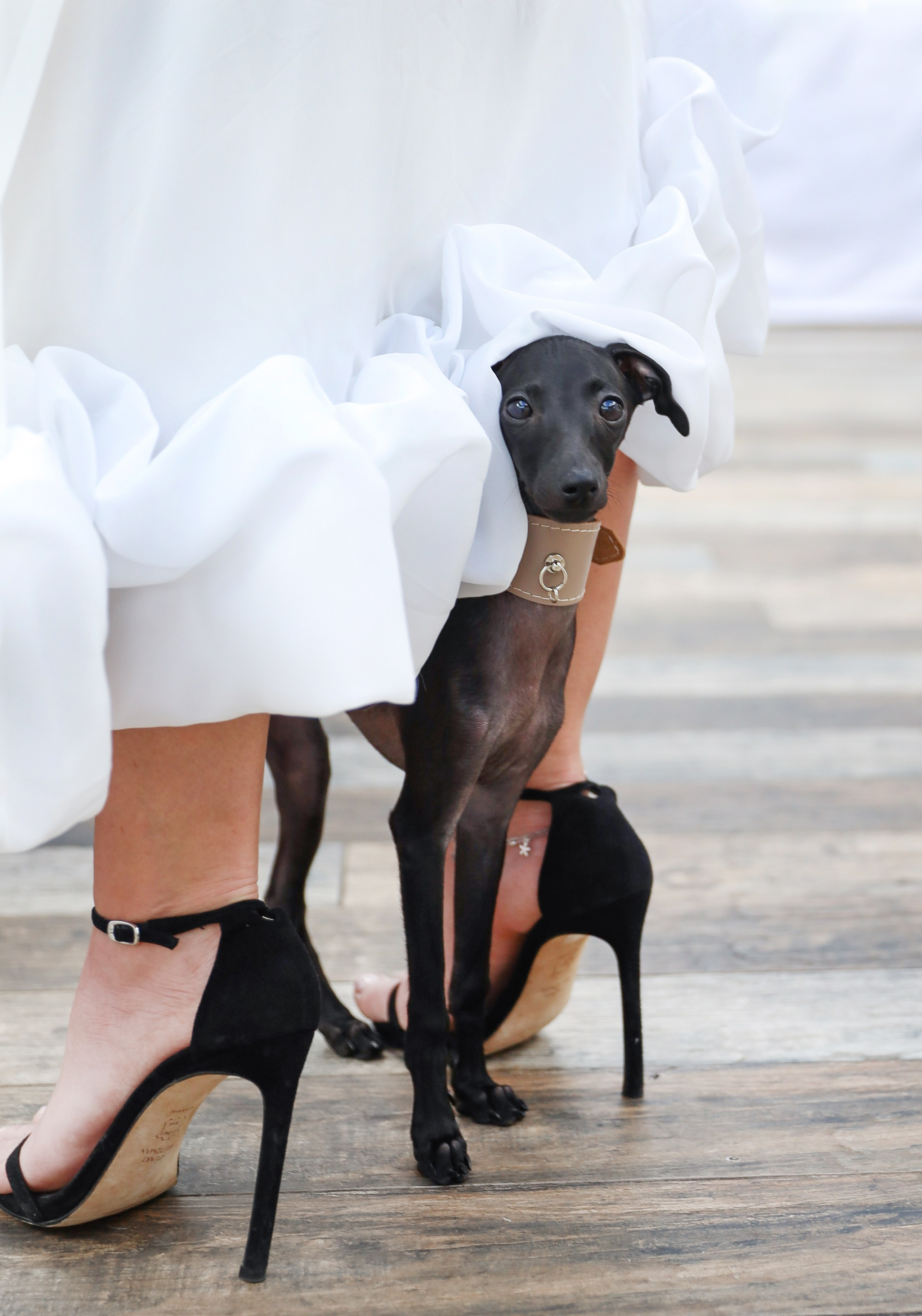 День рождения Анны. Фотограф мероприятий Ирина Каширина