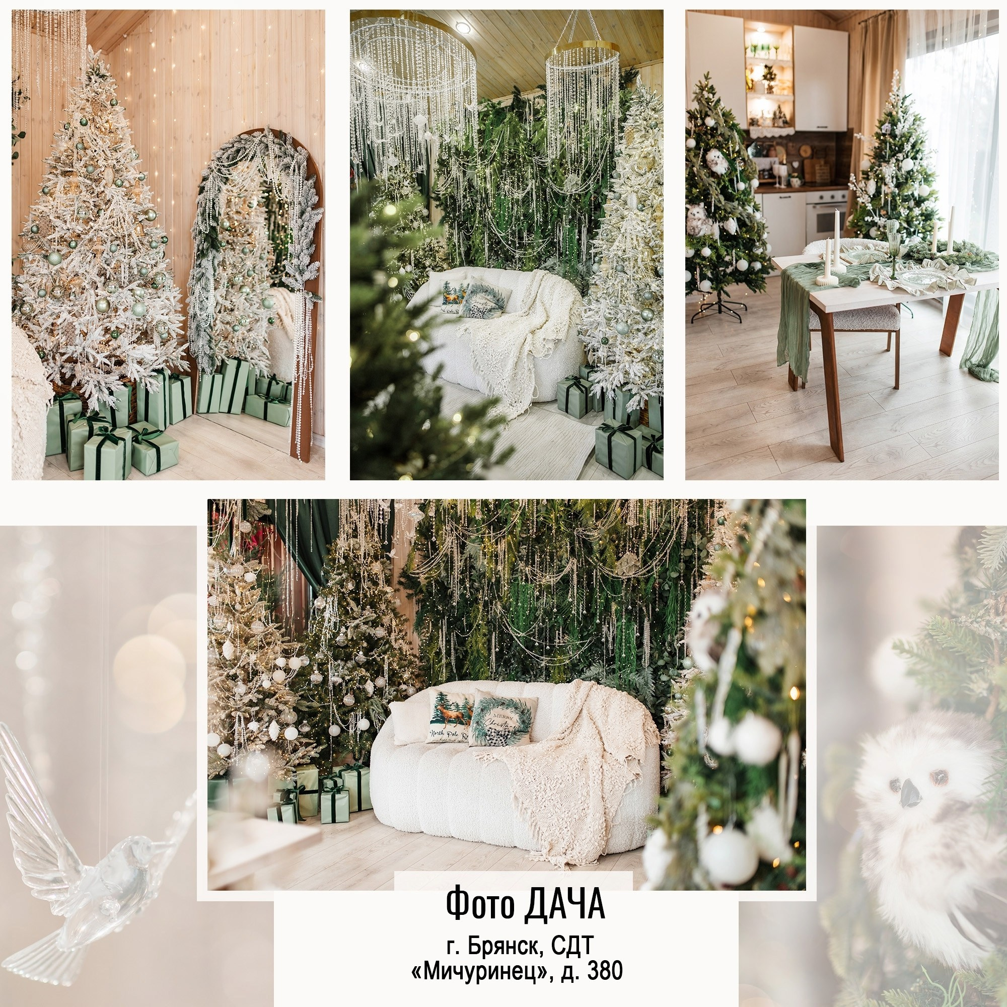 ФотоDacha (Брянск, Сдт Мичуринец 380). Портретный, семейный, свадебный фотограф в Брянске Маргарита Василькова