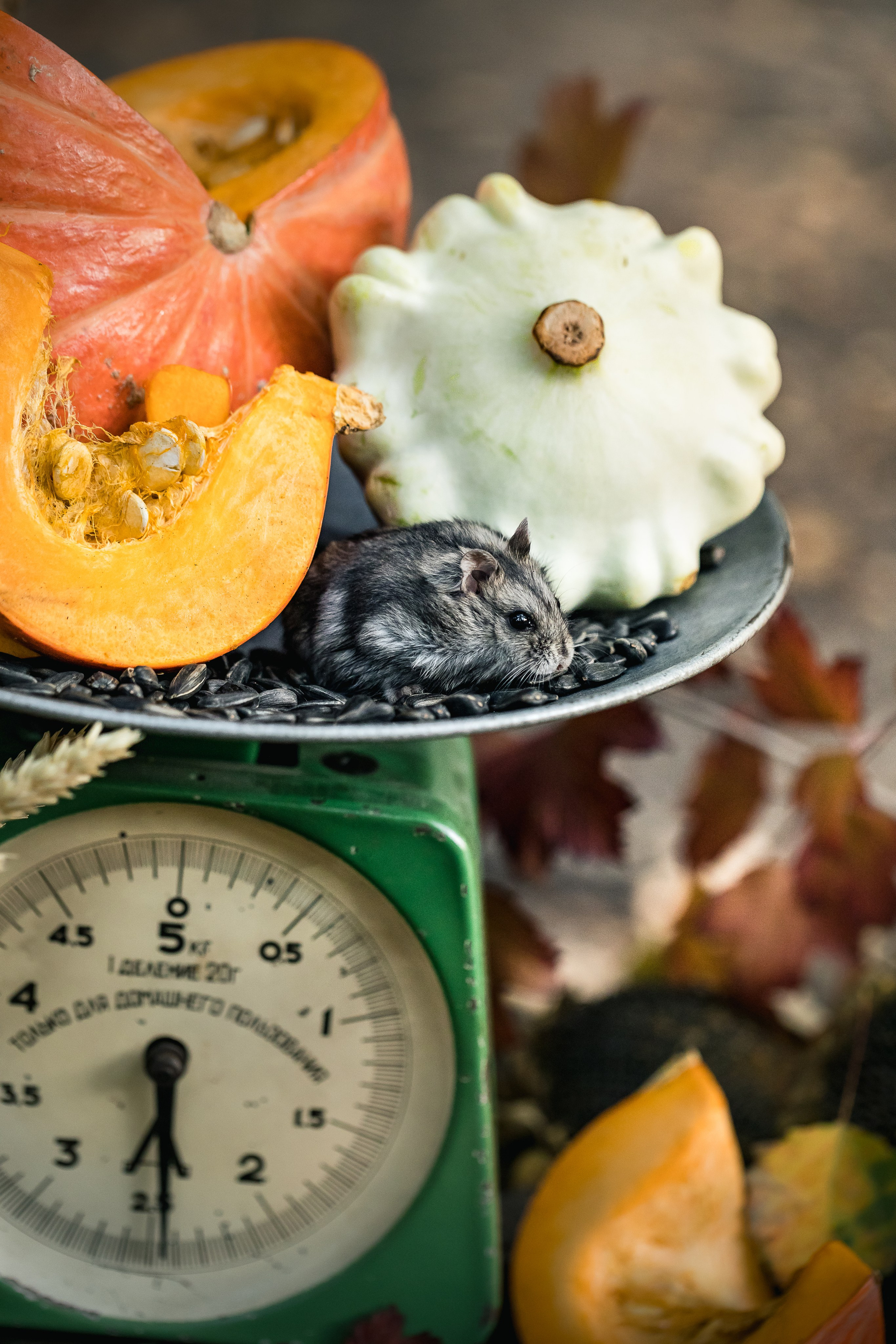 Pumpkins stillife & Halloween. Foodie Stories (гастрономические истории) рекламная фуд-фотосъёмка, Москва