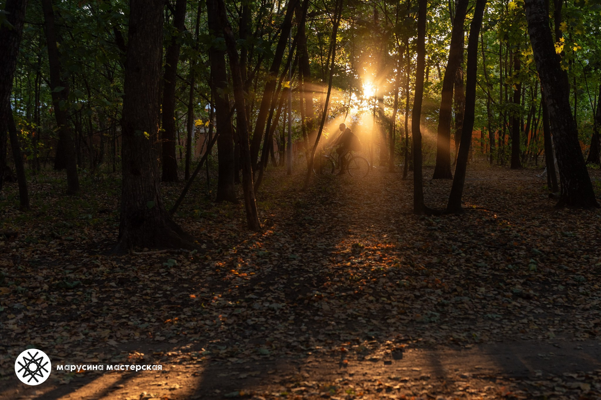 Елена Уваева