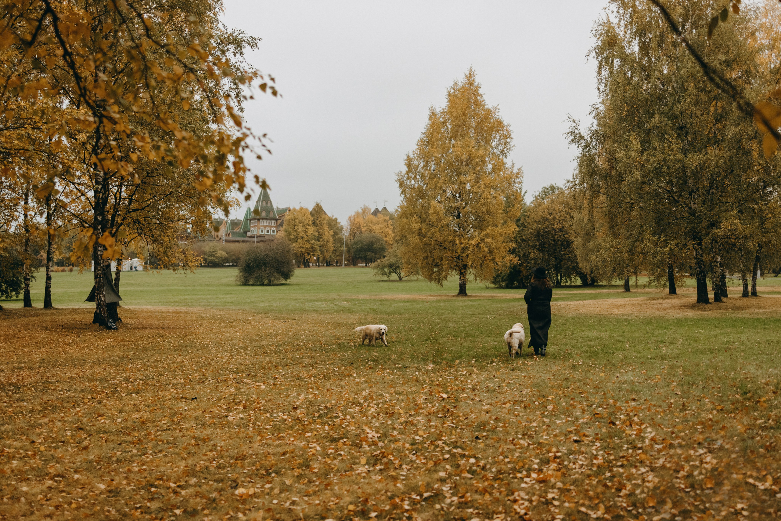 Женя и ее девочки. Фотограф — Анималист | Санкт-Петербург