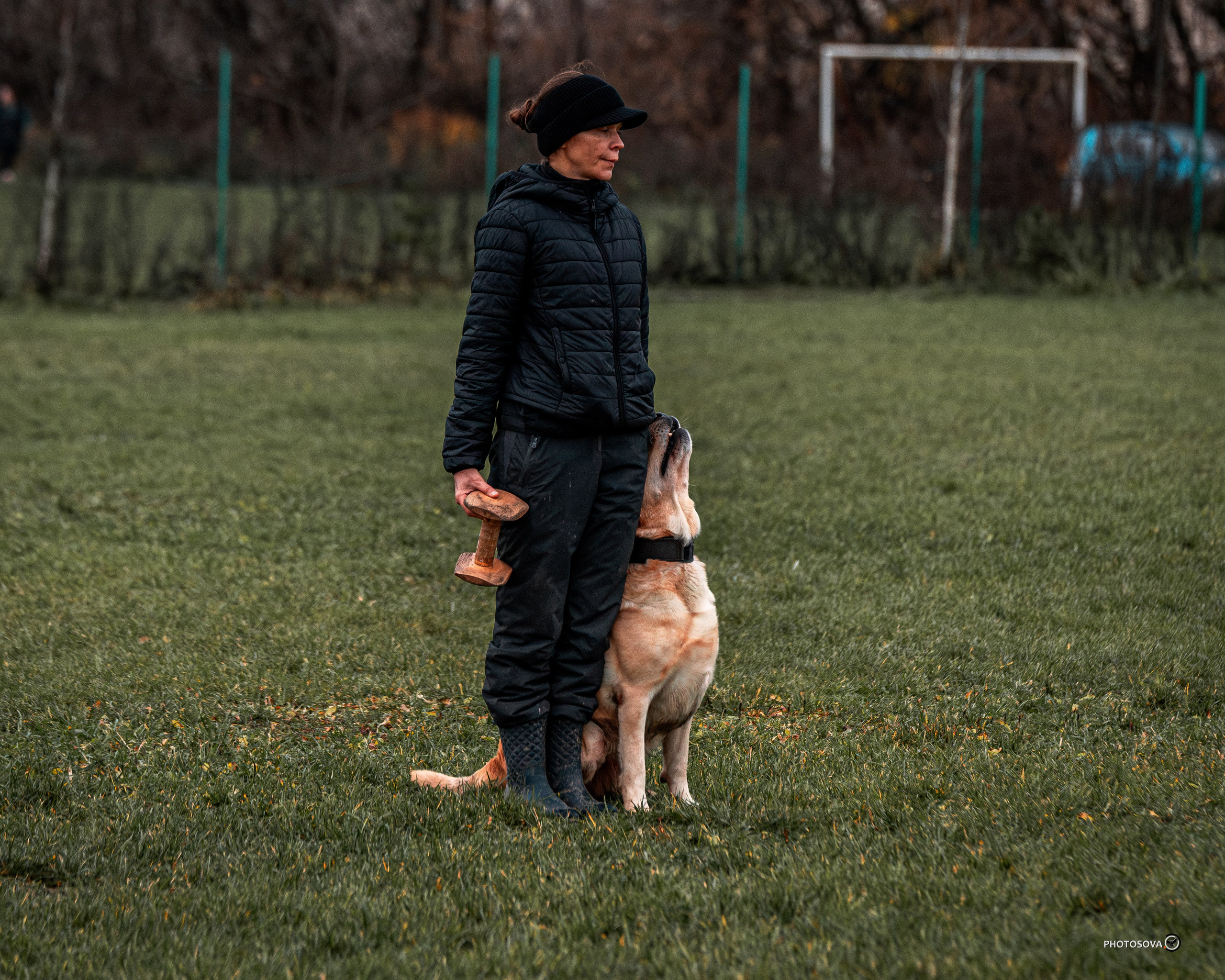 МЫ — КОМАНДА (соревнования) OKD, BH, IBGH, IGP. Фотограф-анималист, семейный фотограф в Москве и Подмосковье. Фотосъёмка кинологических дисциплин