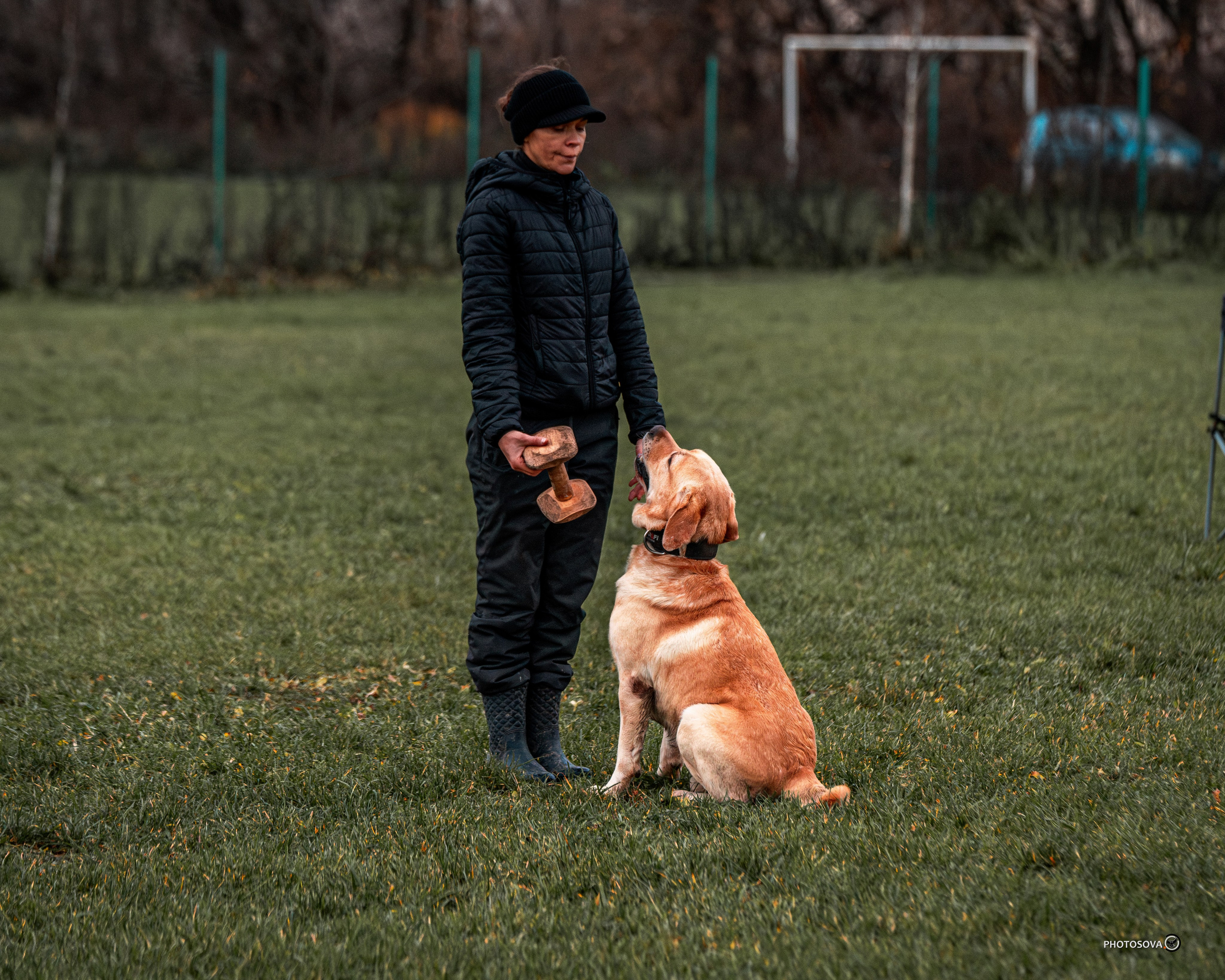 МЫ — КОМАНДА (соревнования) OKD, BH, IBGH, IGP. Фотограф-анималист, семейный фотограф в Москве и Подмосковье. Фотосъёмка кинологических дисциплин