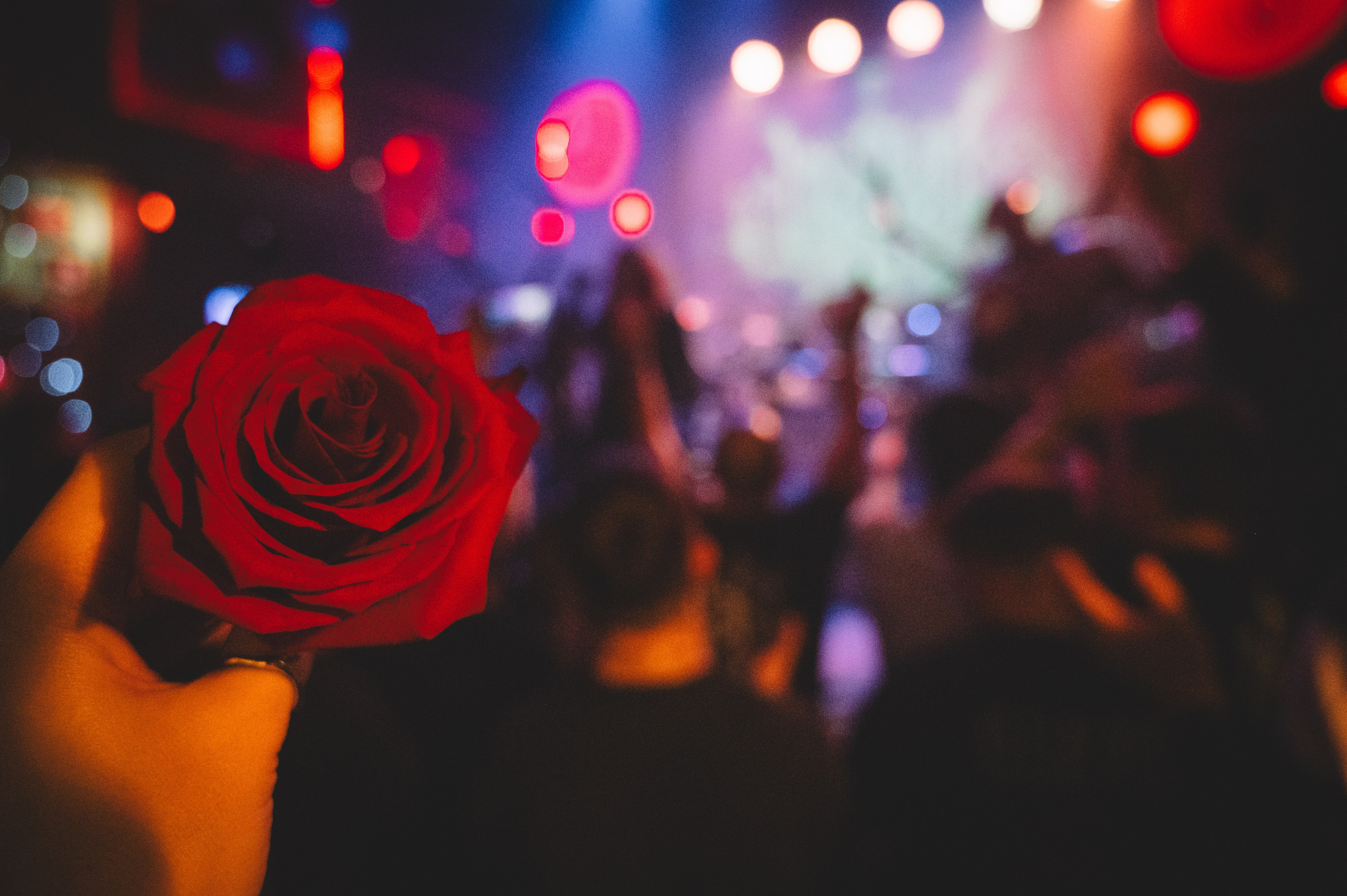 Мещера в Пензе. Фотограф Анна Темнова. Пенза