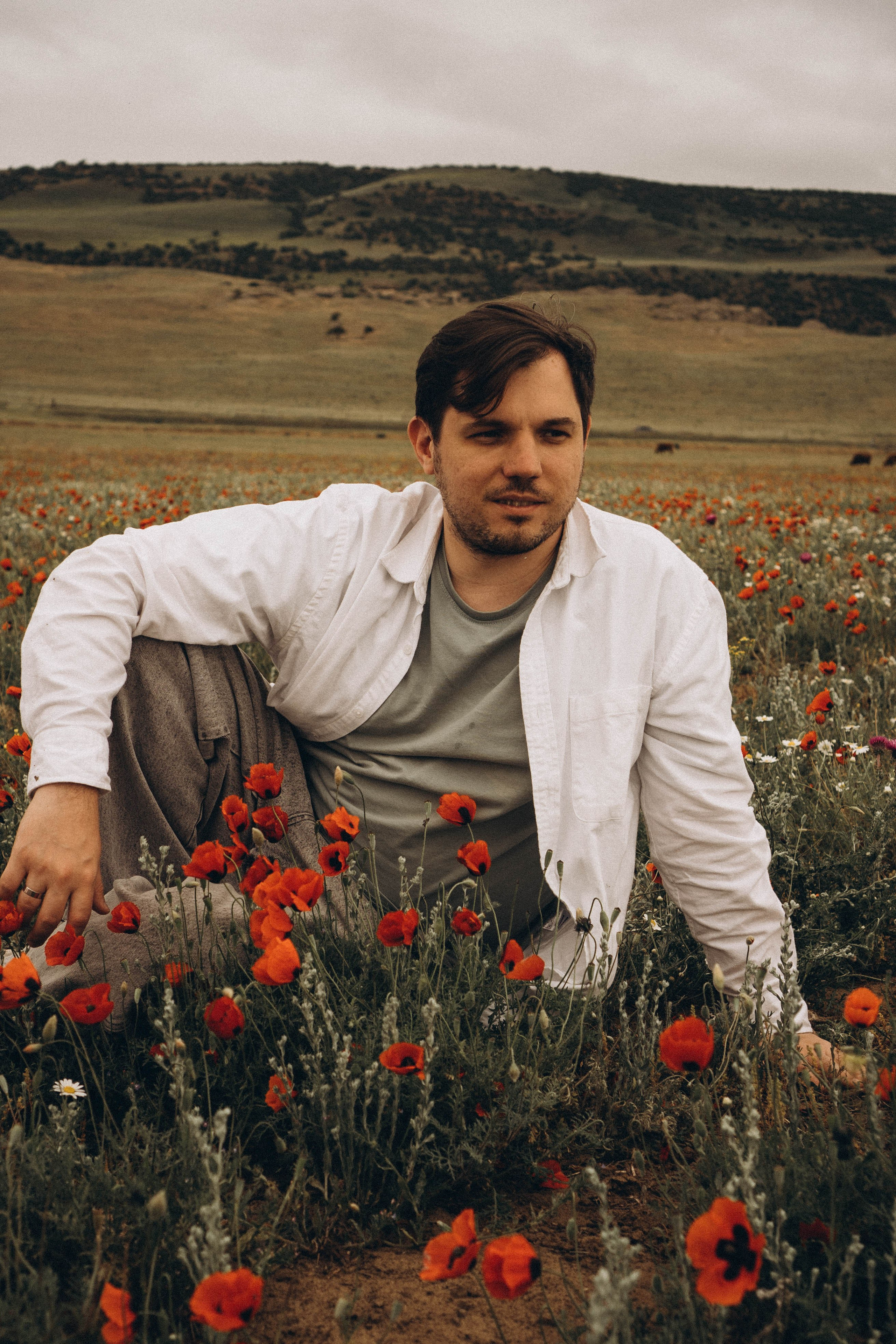 Маки. Профессиональный фотограф, Санкт-Петербург — Виктория Богомолова