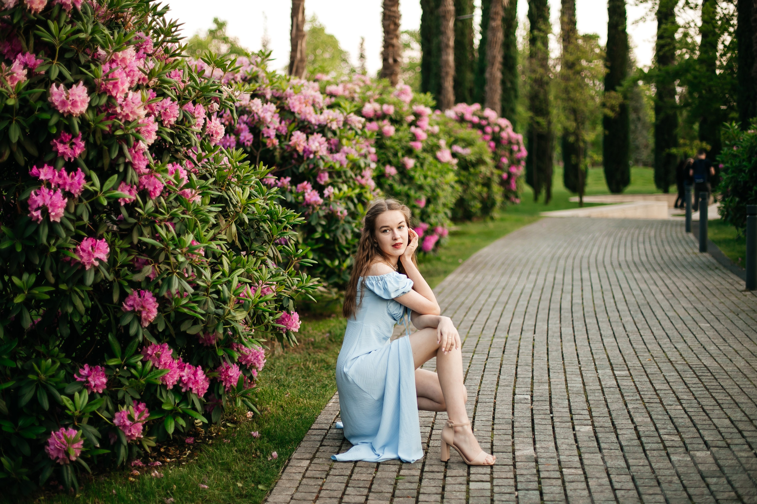 Цветение Рододендрона. Свадебный и семейный фотограф в Краснодаре Илонна Ковалева