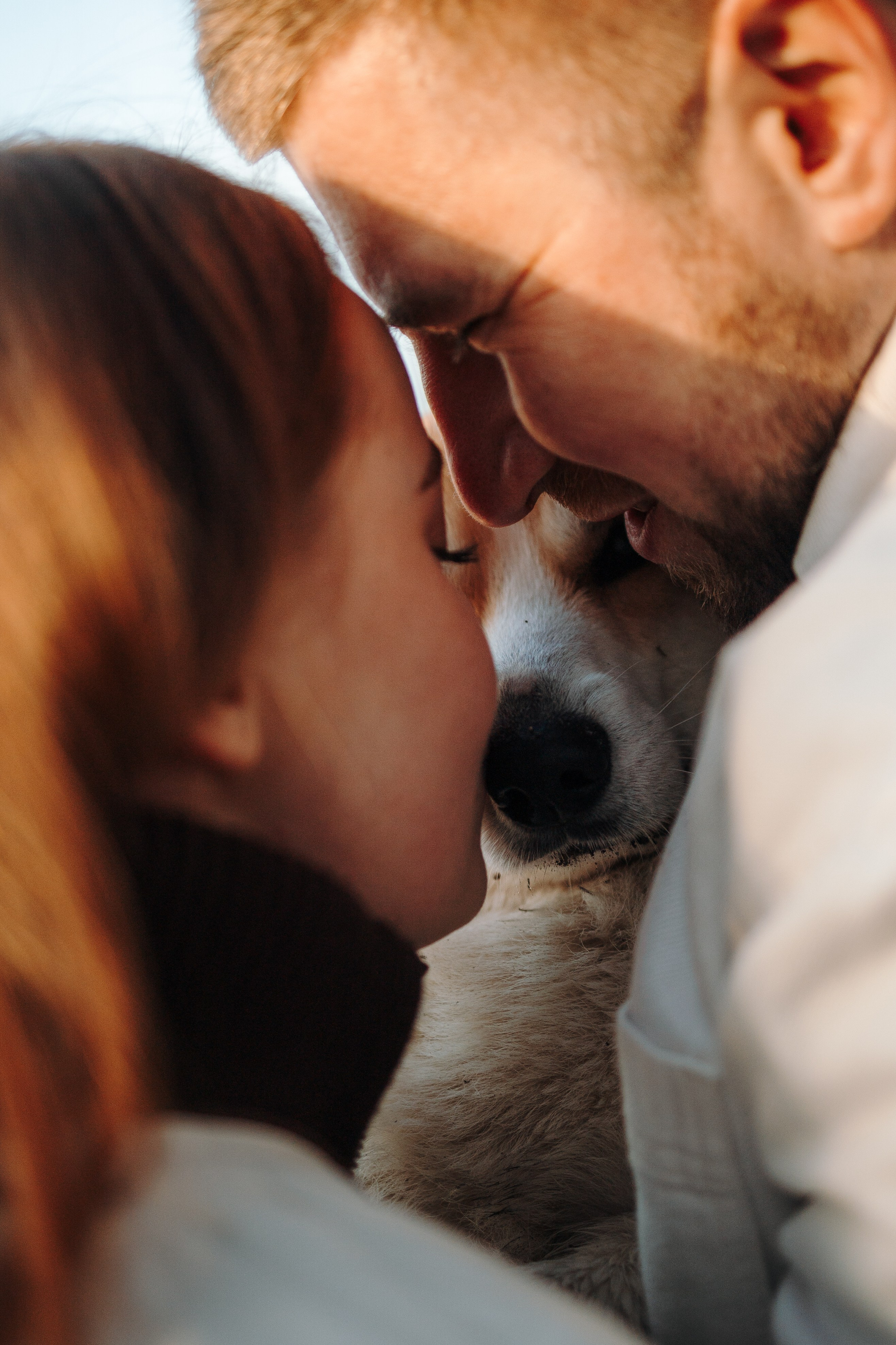 Найт и его семья. Фотограф — Анималист | Санкт-Петербург