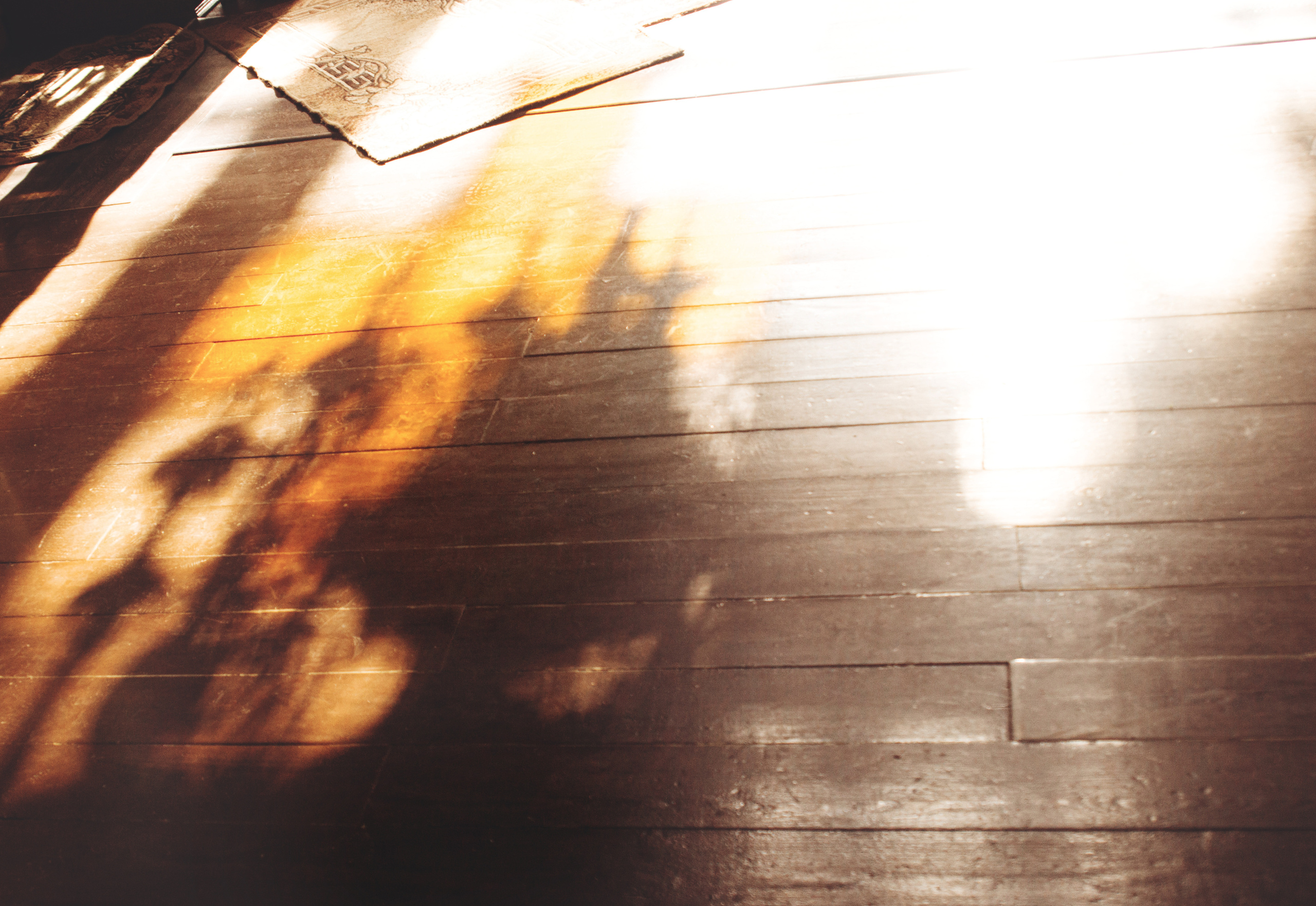 Свенский Монастырь. Фотограф новорожденных в Брянске Анжелика Прохоренкова