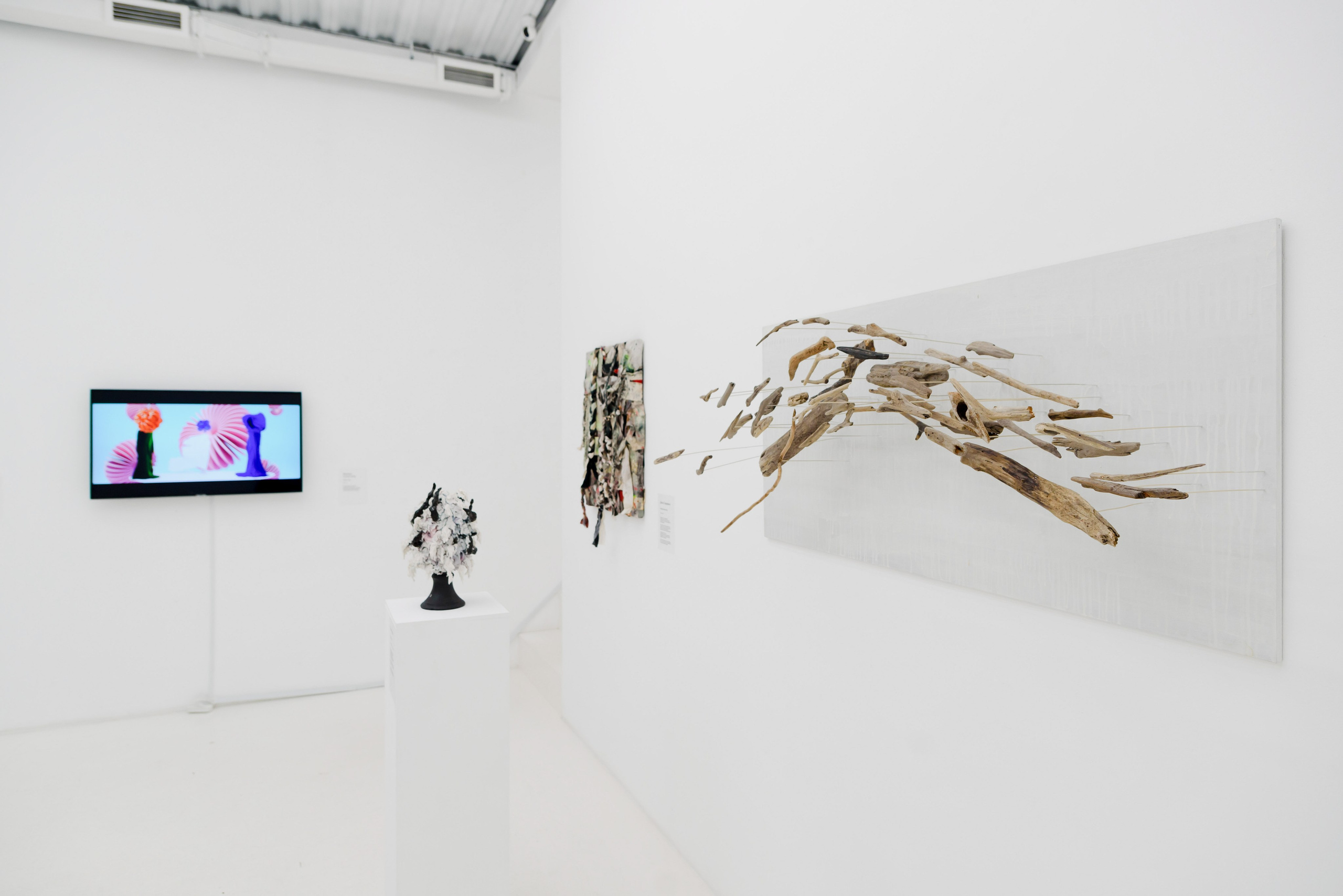 Выставки. Фотограф Руслан Хафизов