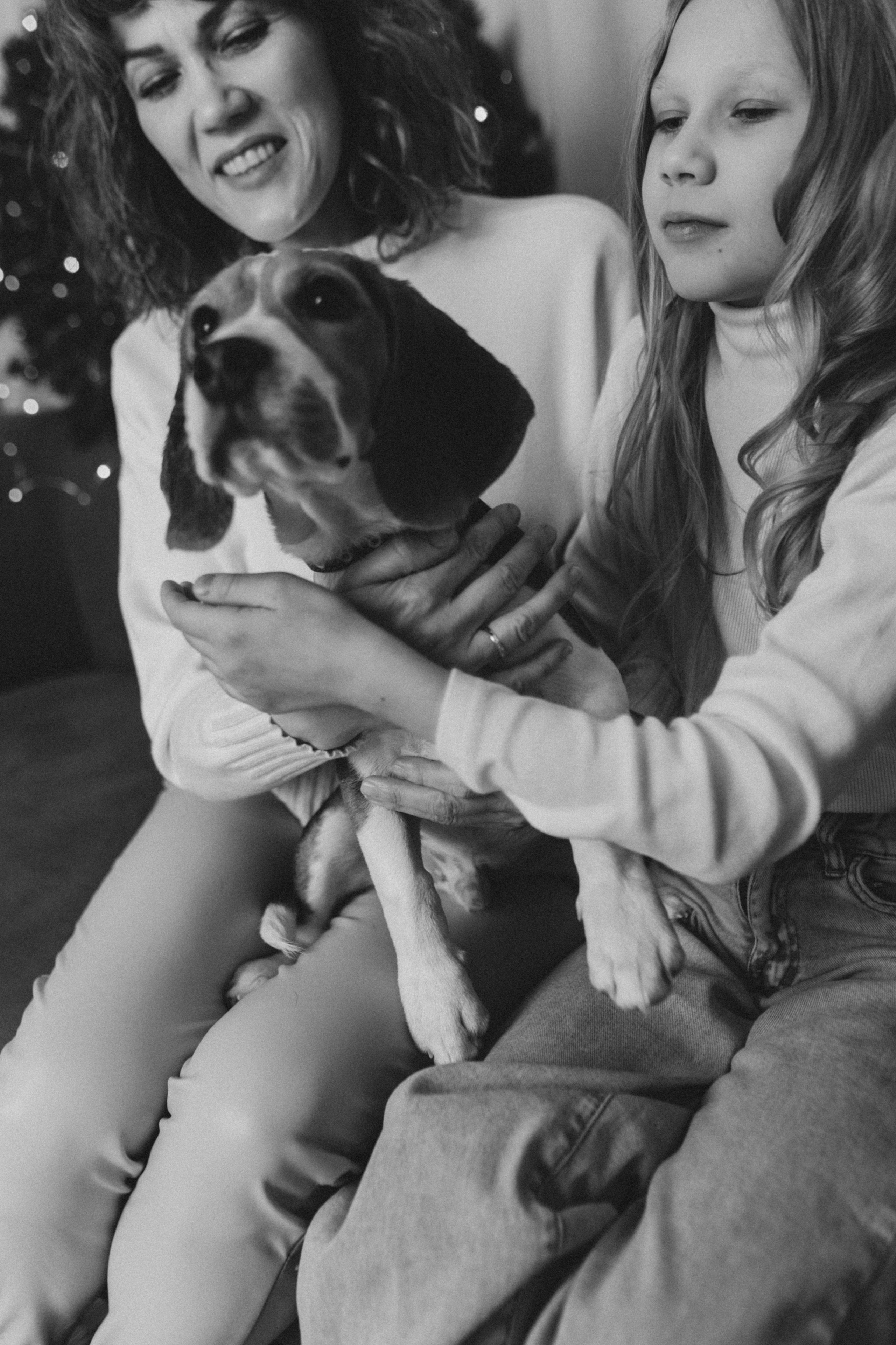 New Year. Семейный и детский фотограф в Южноуральске Дубовицкая Елена