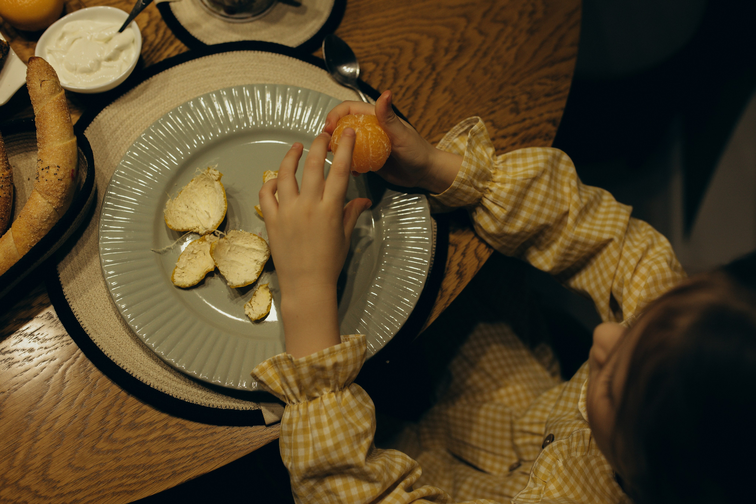 Домашняя история. Meryfotoidea