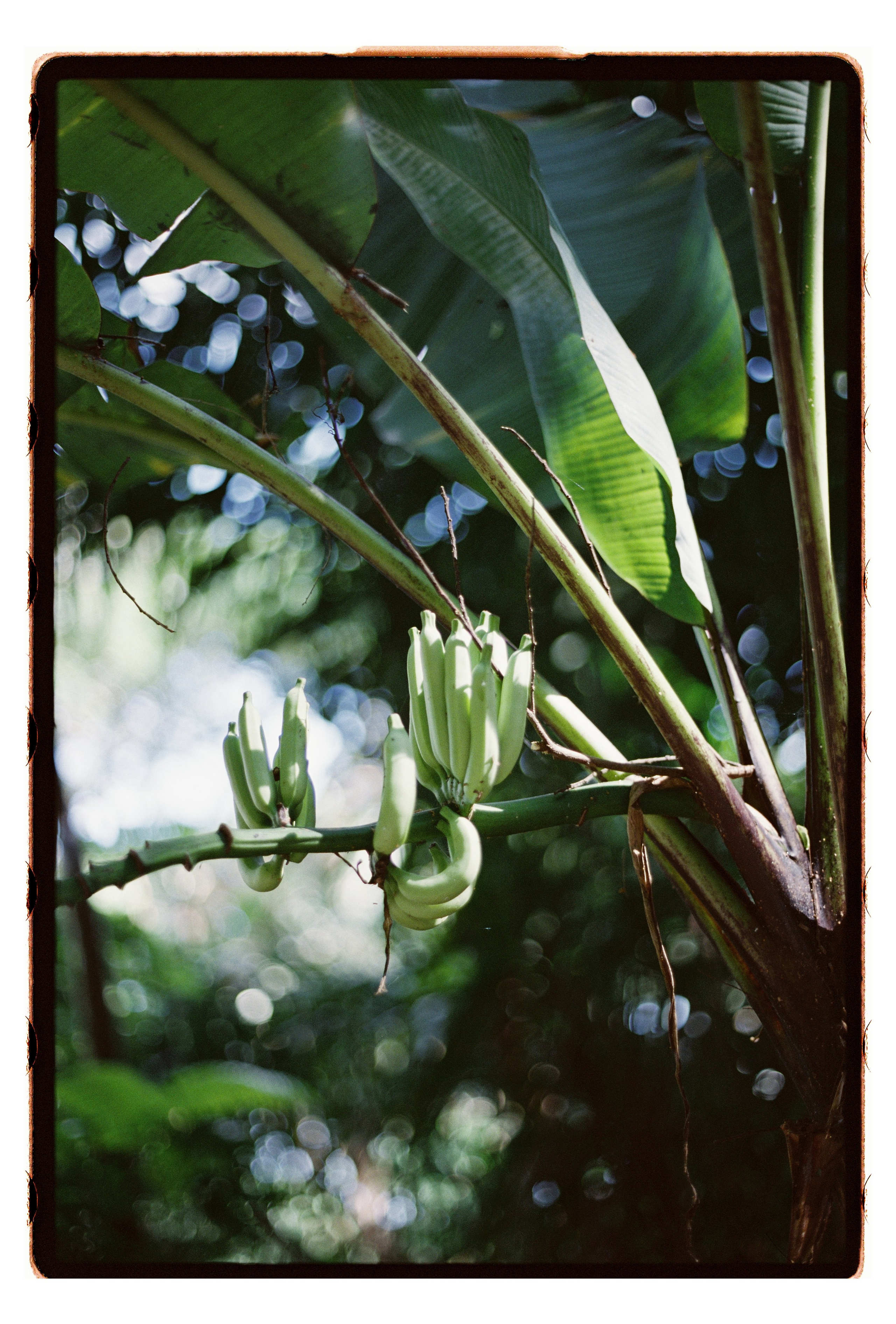 Пейзаж и архитектура. Maria Sineva, photographer