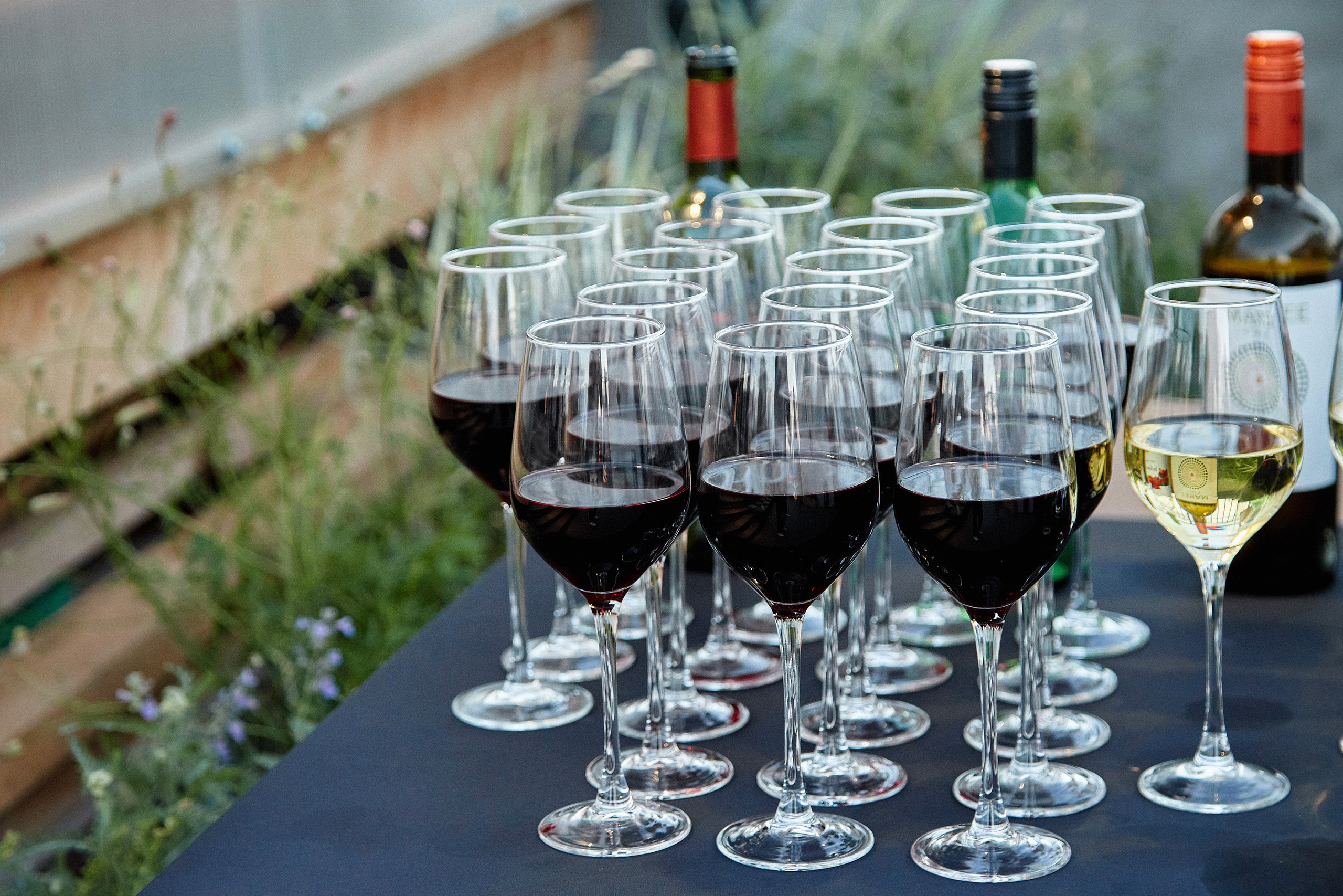 Publik talk «Честное слово». DENISOV ART (фото, видео, дизайн) САМАРА