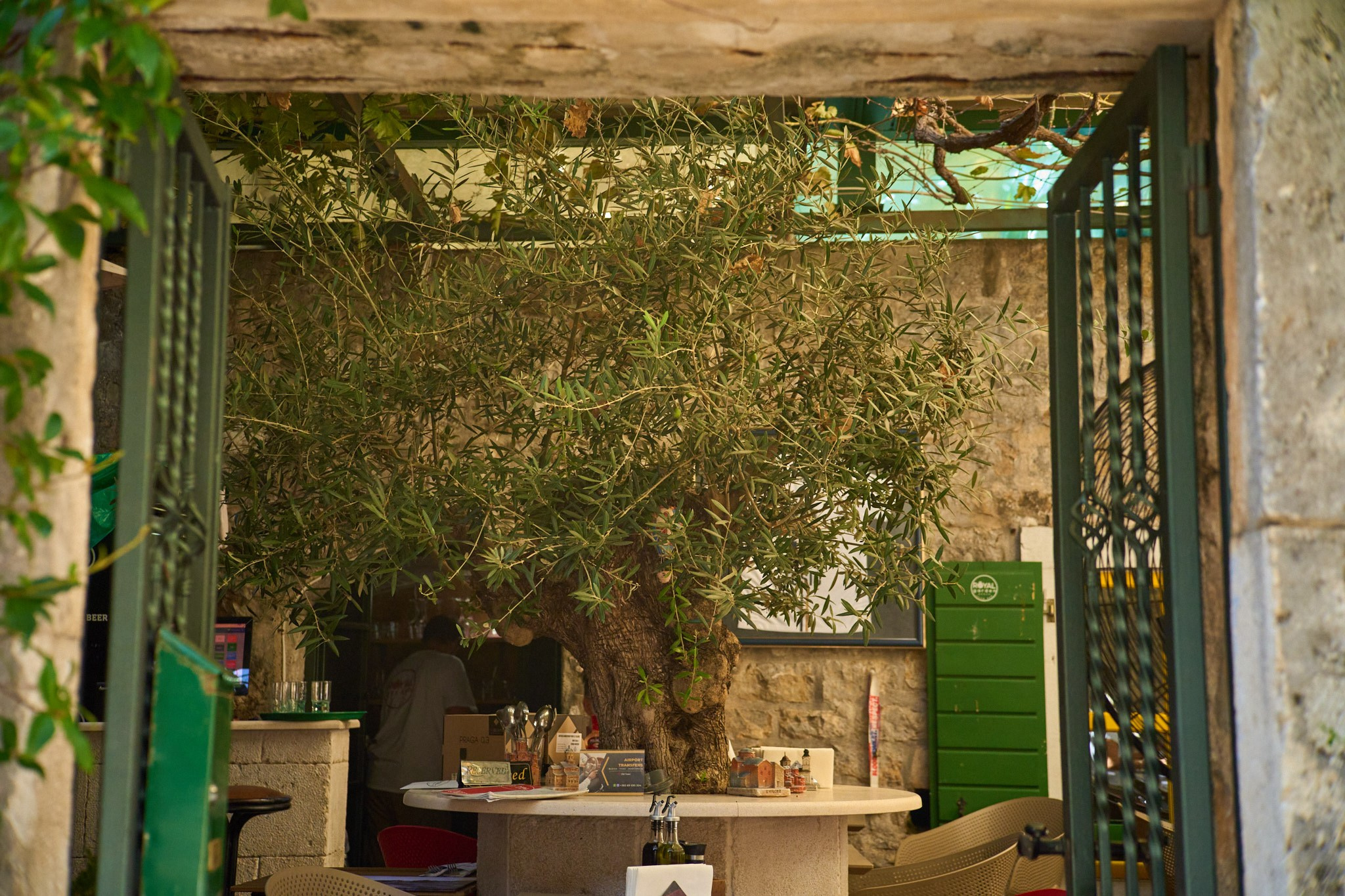 Черногория, сентябрь 2024. Фотограф, Римма Невинская