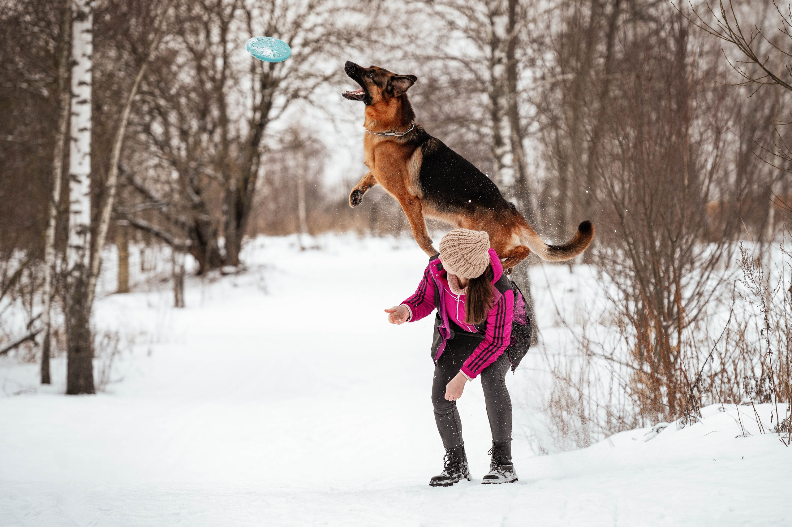 Вольт. Фотограф-анималист