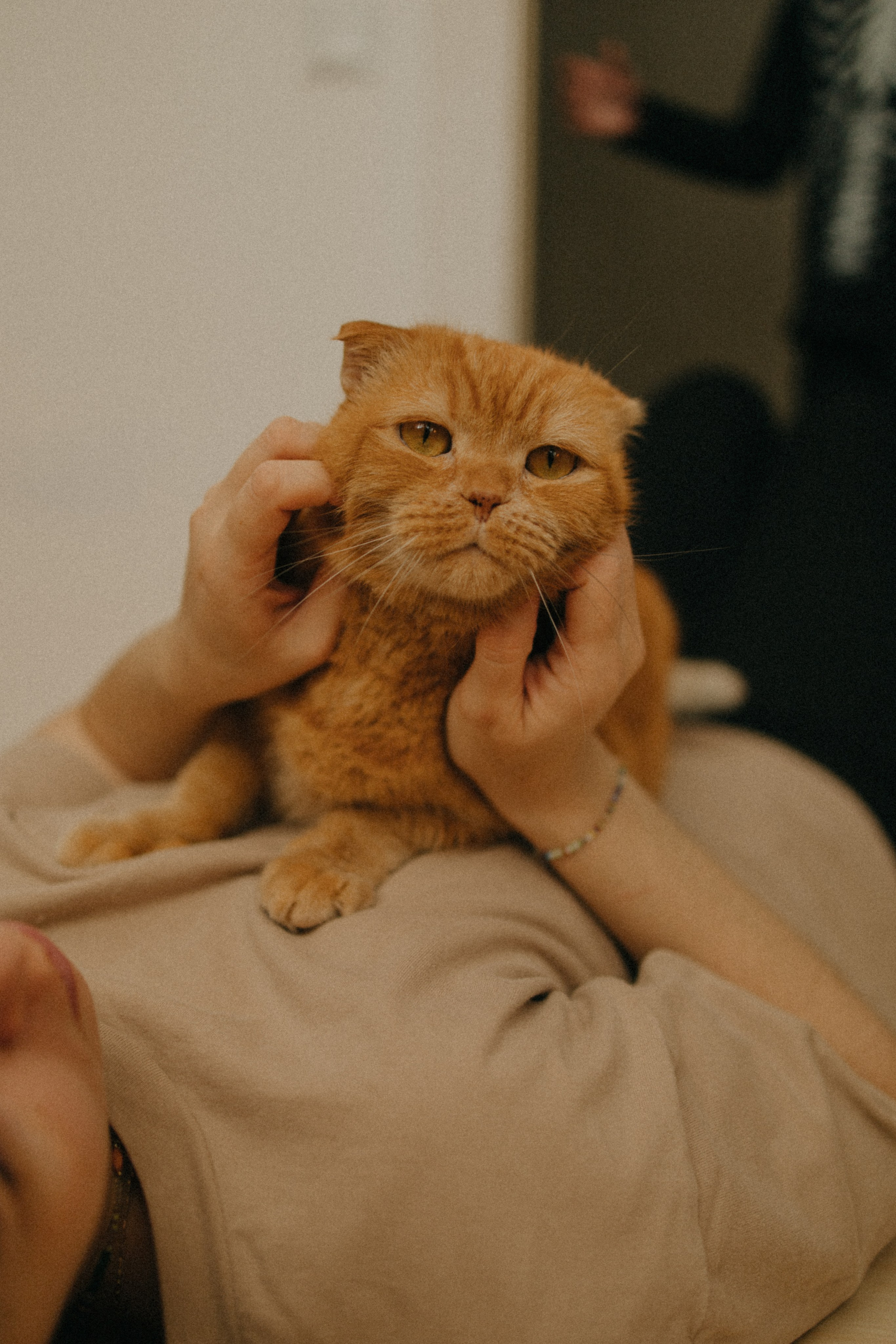 Театр теней. Фотограф Настя Леонова