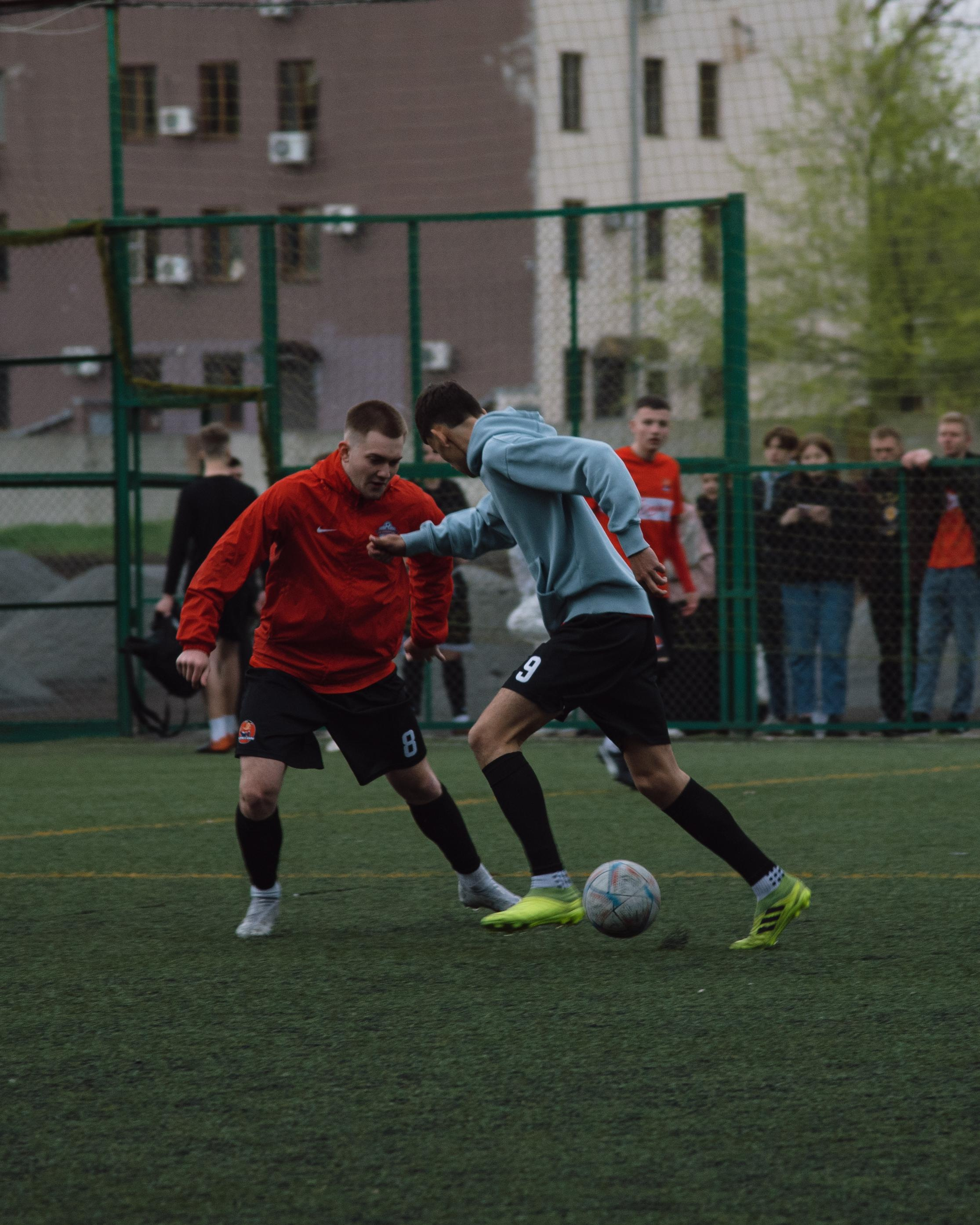 Бошки. Фотограф в Ростове-на-Дону и Новочеркасске Ангелина Шалаева