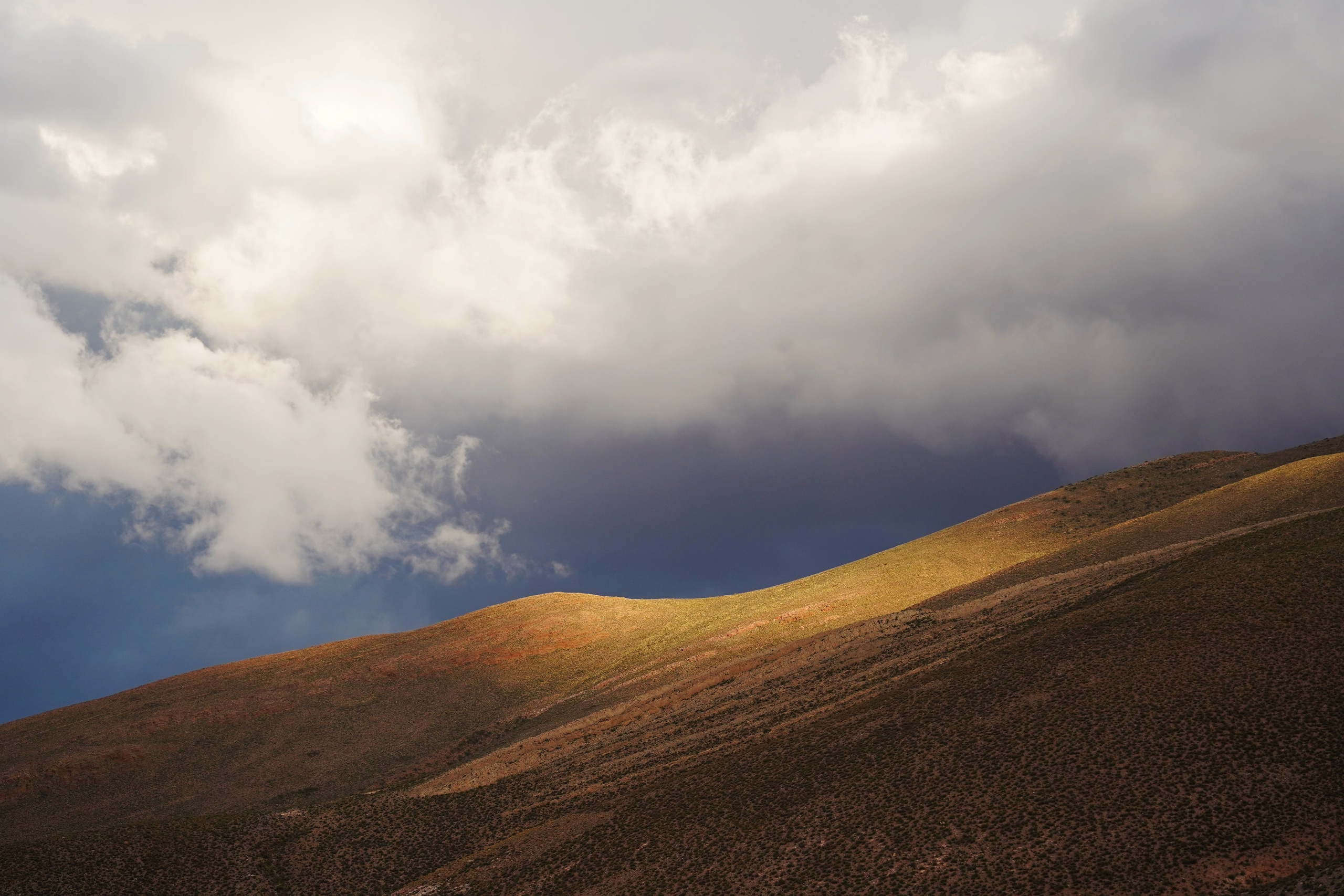 Купить фотографию пейзажа для интерьера