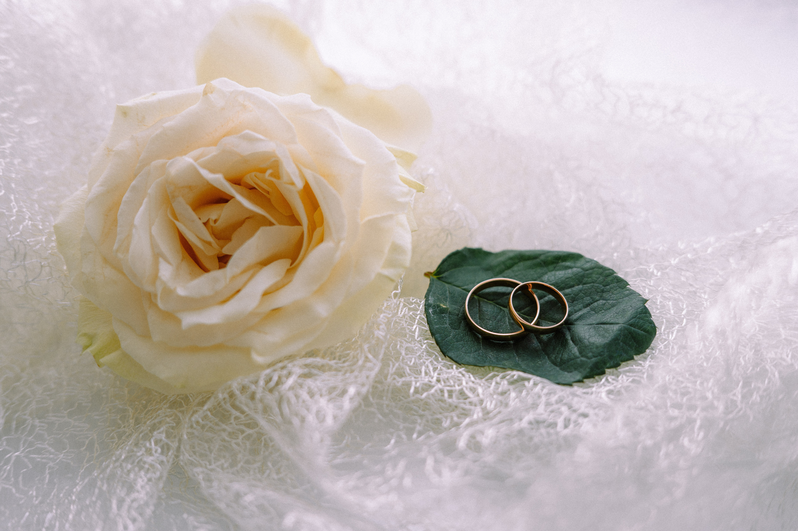 Свадебный день Татьяны и Ильи. Фотограф о любви в Перми Елена Кузовлева