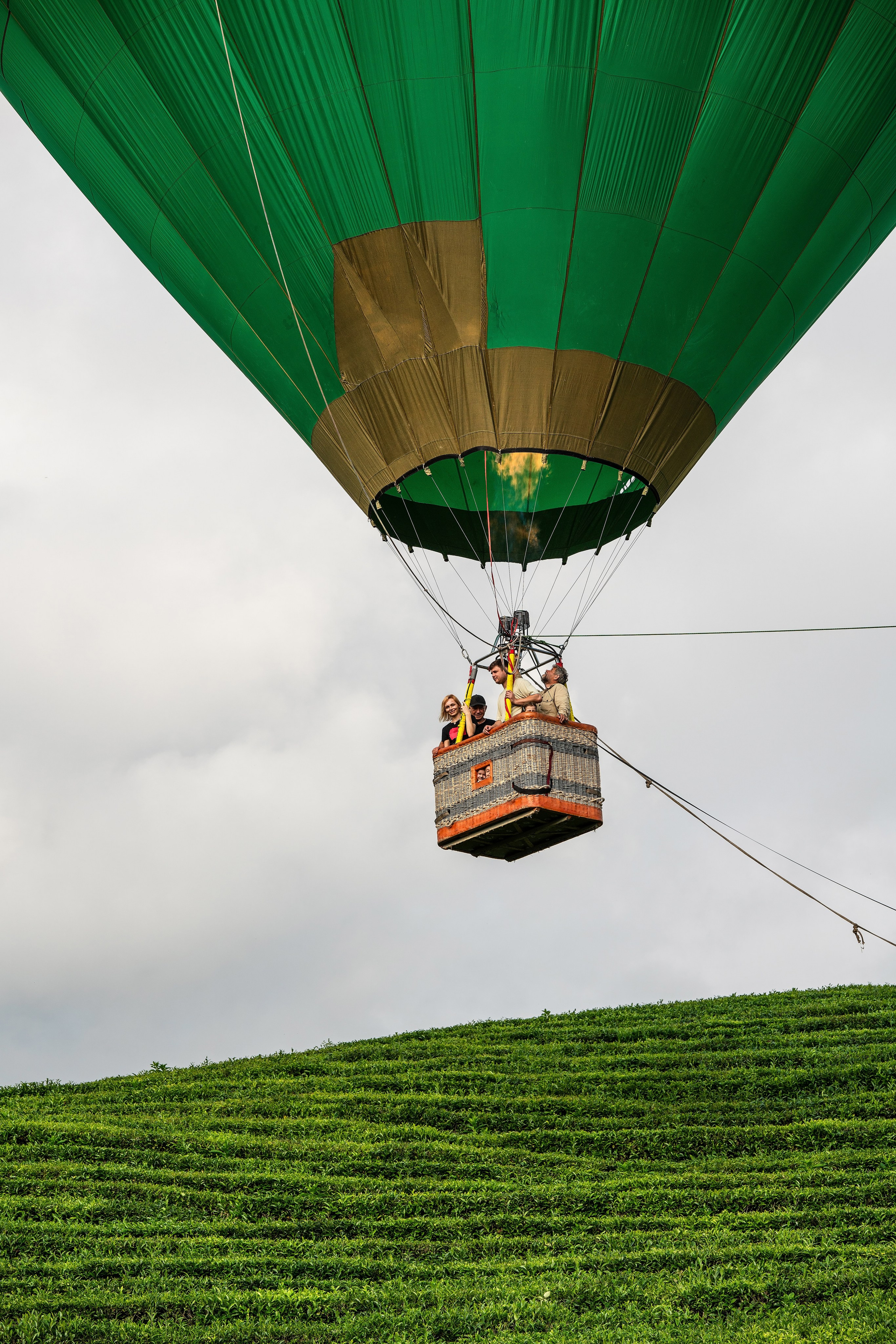 Фотограф на праздник Сочи. Фотограф Сочи