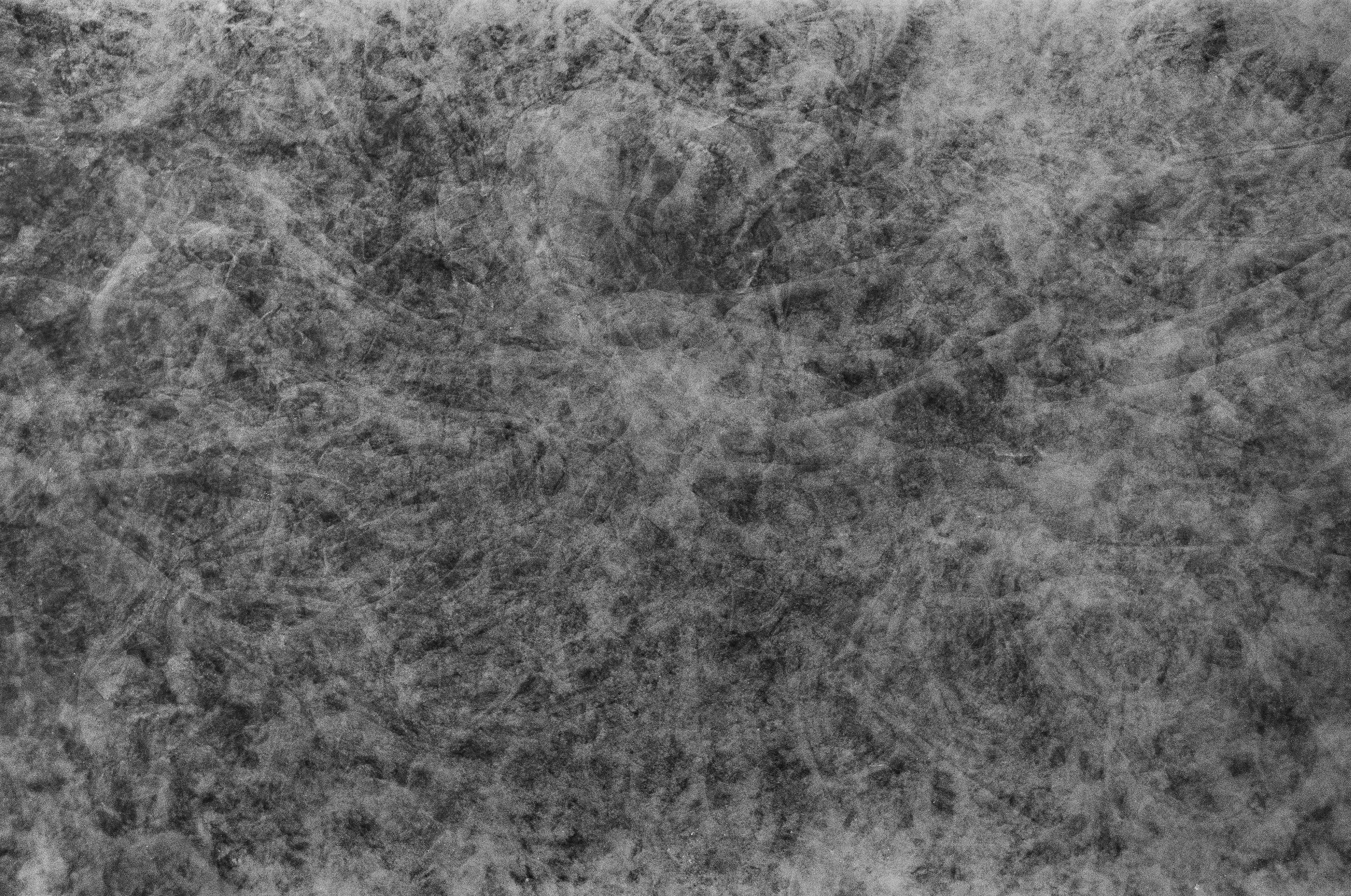 Персональные данные. Фотографии Саши Любина