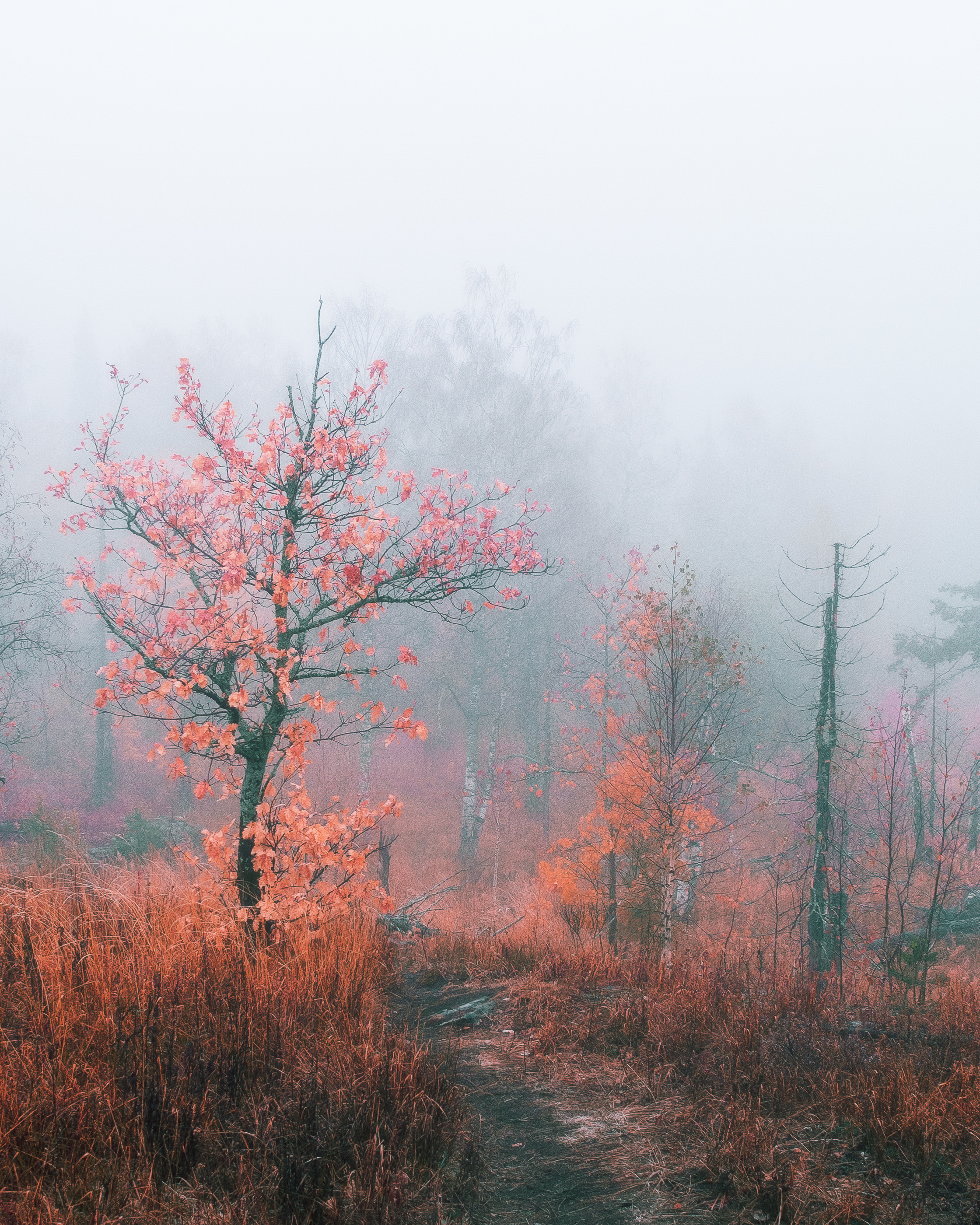 Пейзажи. Коммерческий, рекламный фотограф в Уфе Сергей Крайкин