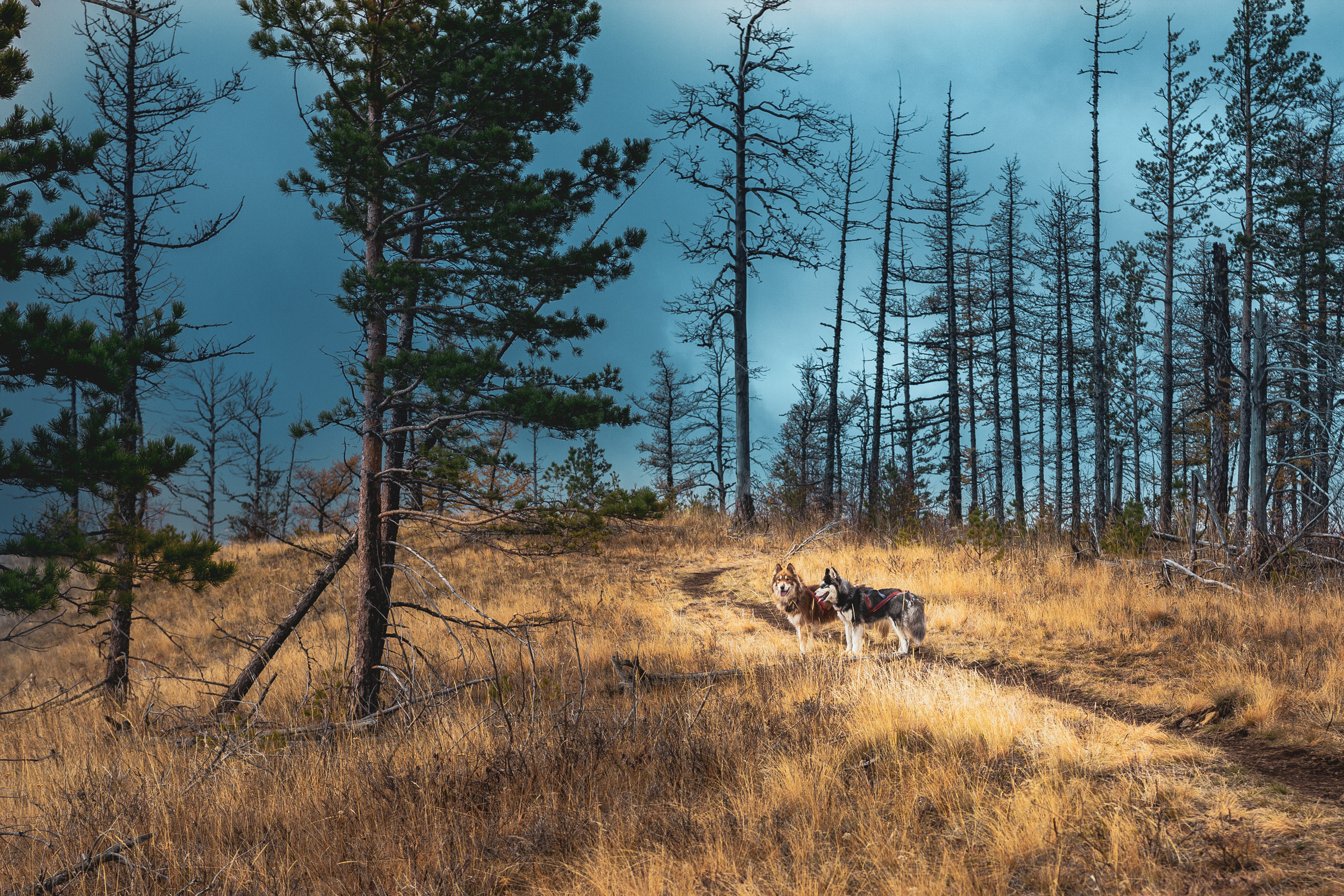 Пейзажи. Коммерческий, рекламный фотограф в Уфе Сергей Крайкин