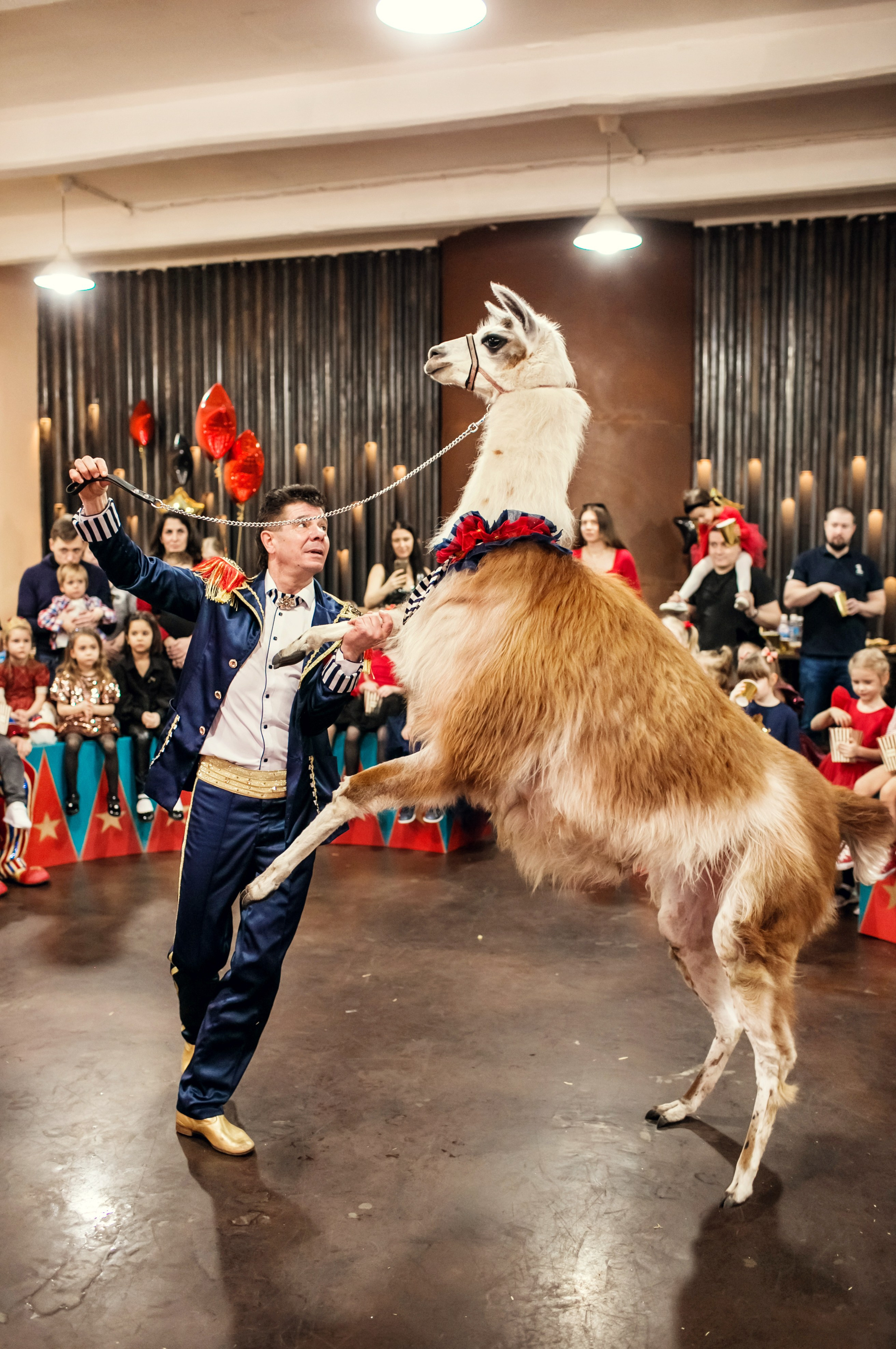 Насте 5 лет. Детский и семейный фотограф в Москве Анна Ипатьева