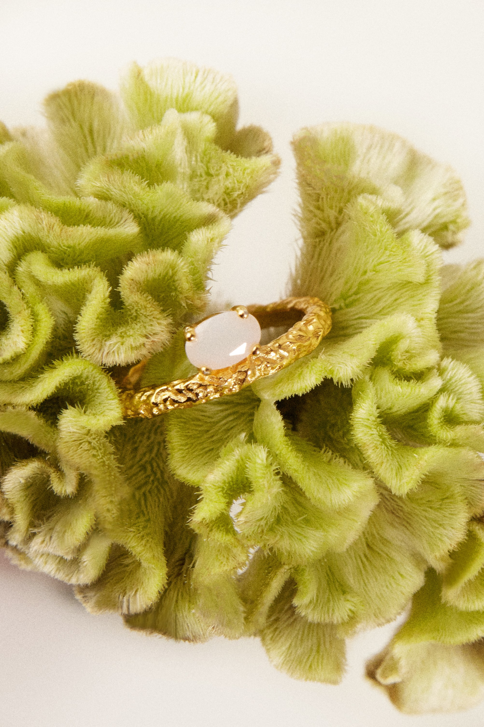 Rassvet Detail. Предметный фотограф Москва Глухарёва Оля