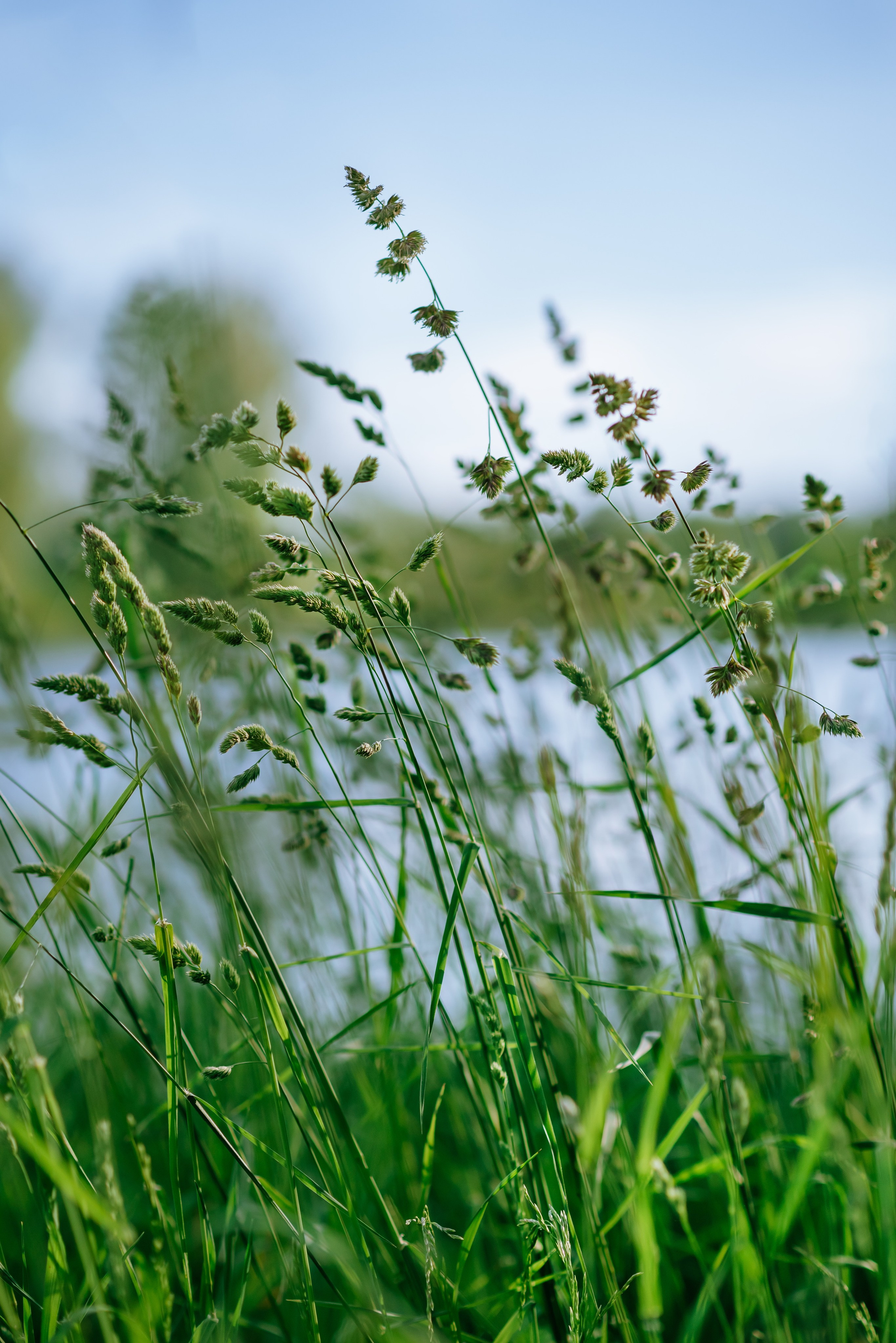 Саша & Маша. Свадебный и семейный фотограф в Москве Лера Леридзе