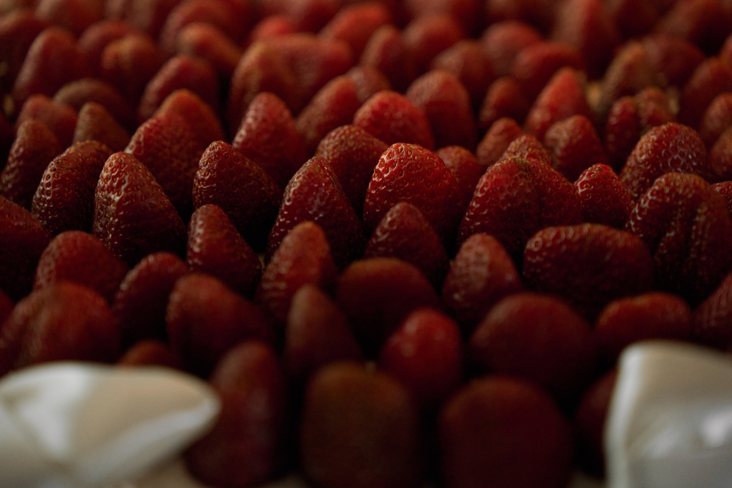 Елена & Александр. Фотограф Михаил Ефремов