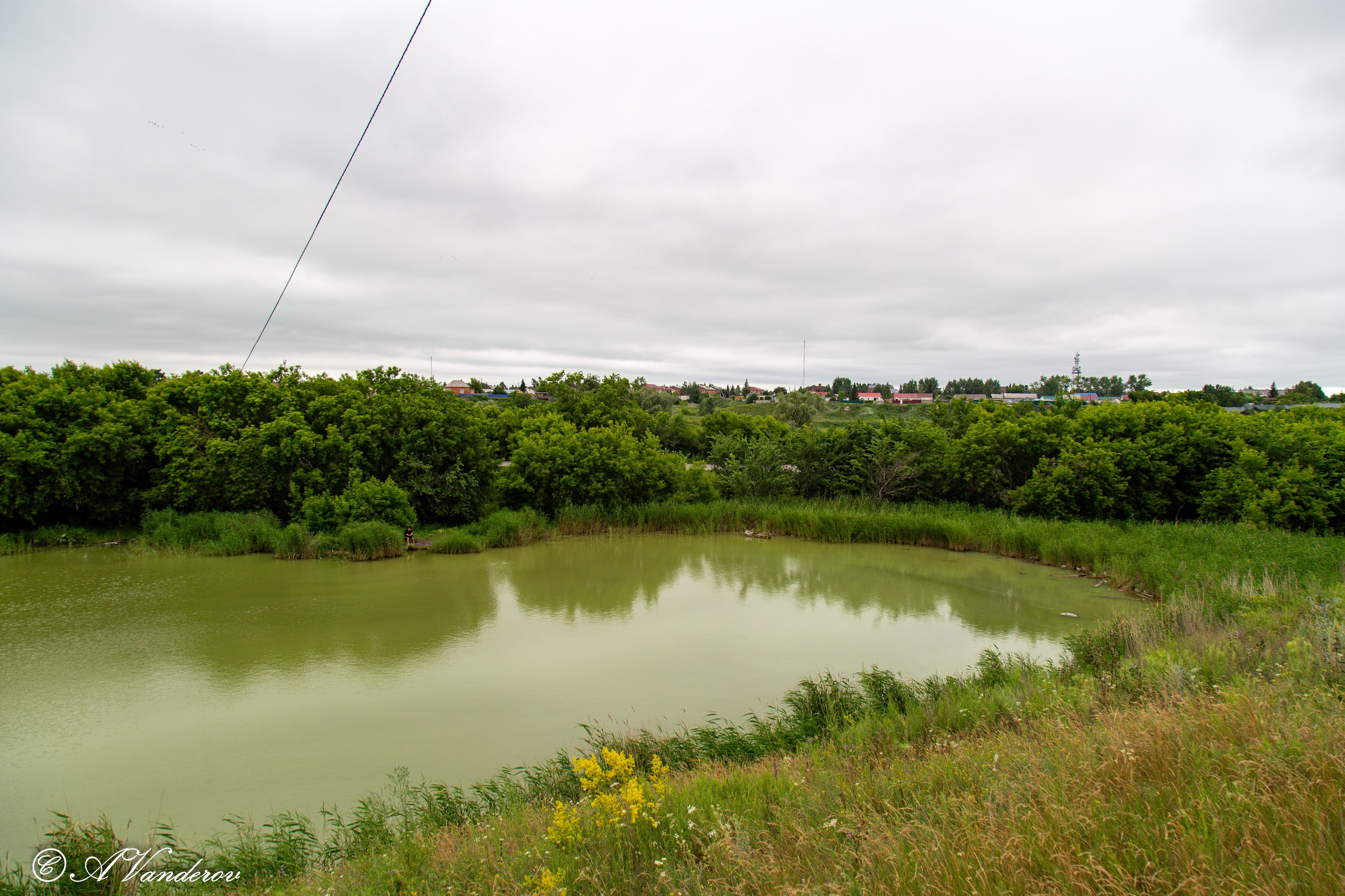 Калачинск 07.07.2024. Фотограф Омск | Александр Вандеров