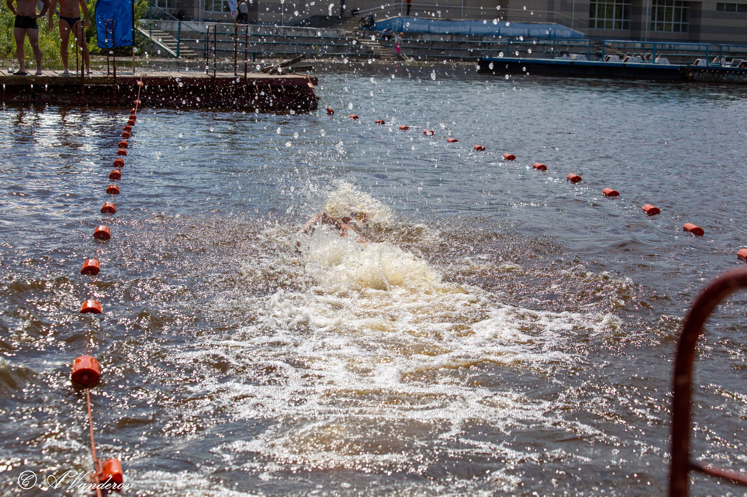Заплыв 02.06.2024. Фотограф Омск | Александр Вандеров