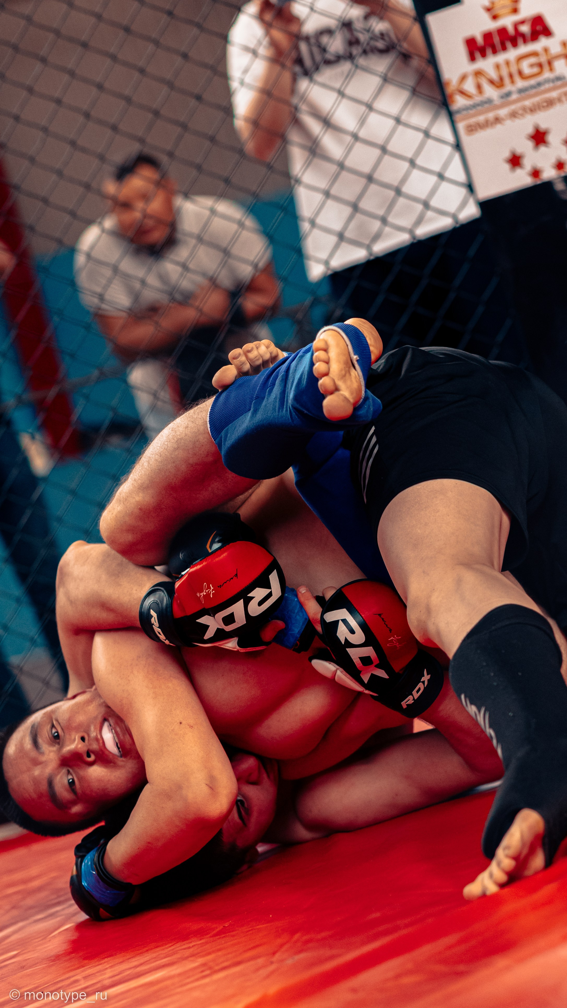 MMA. Бойцовский турнир