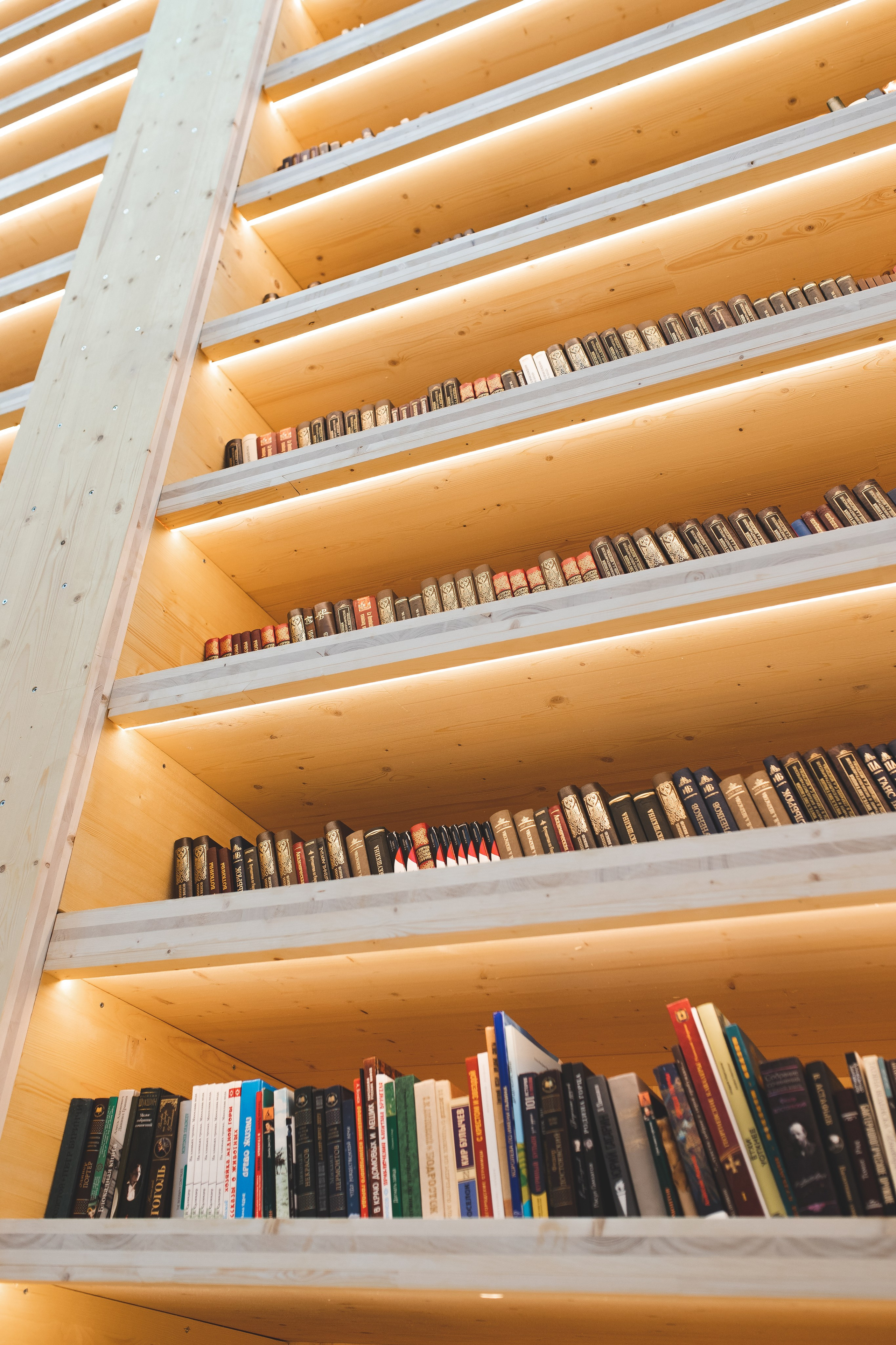 Делегация Воронежской области на ВФМ-2024. Портретный и репортажный фотограф в Воронеже: Анастасия Пузикова