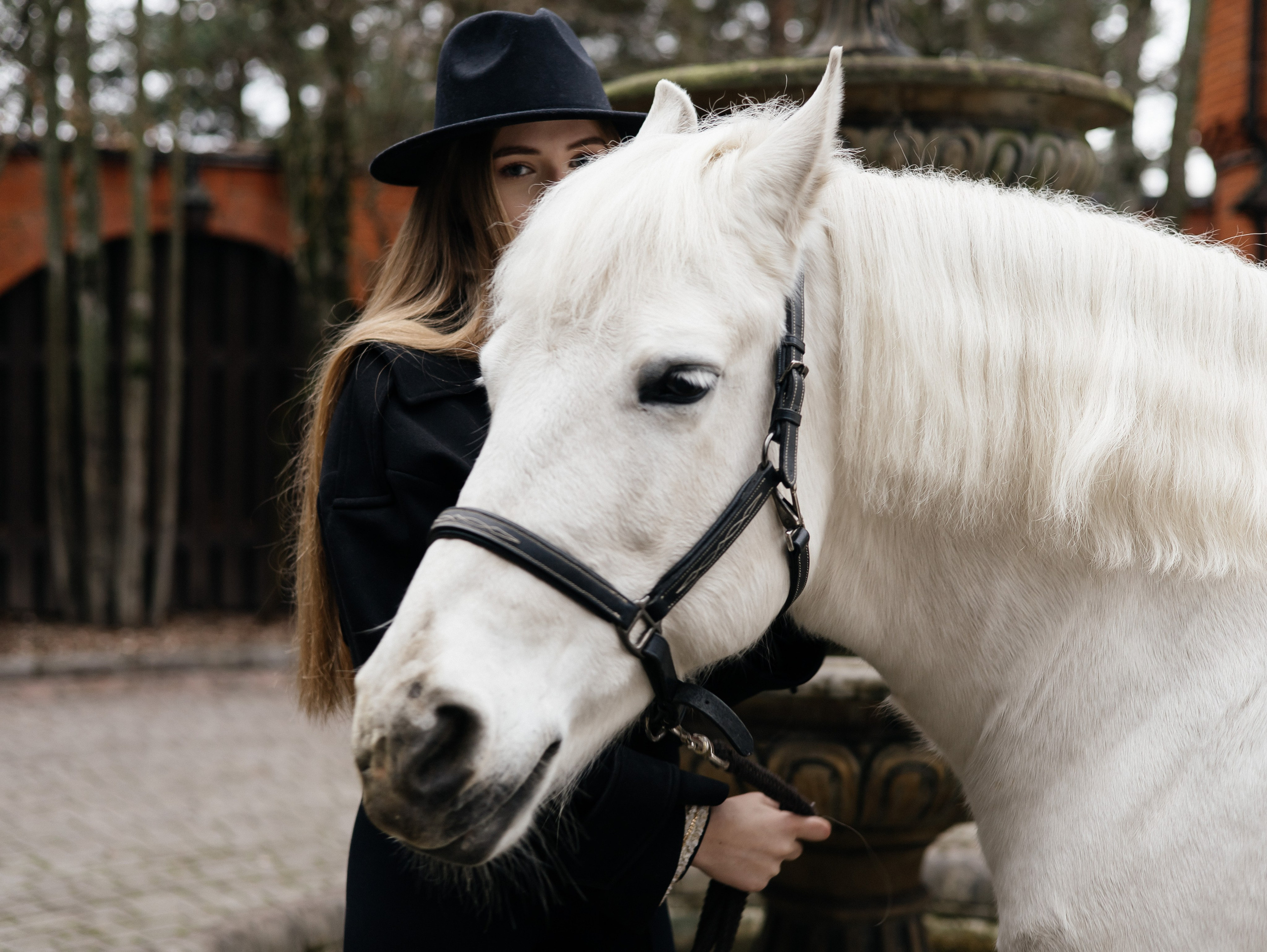 Ферма «Few Horses». Фотограф | портрет | бренды | репортаж