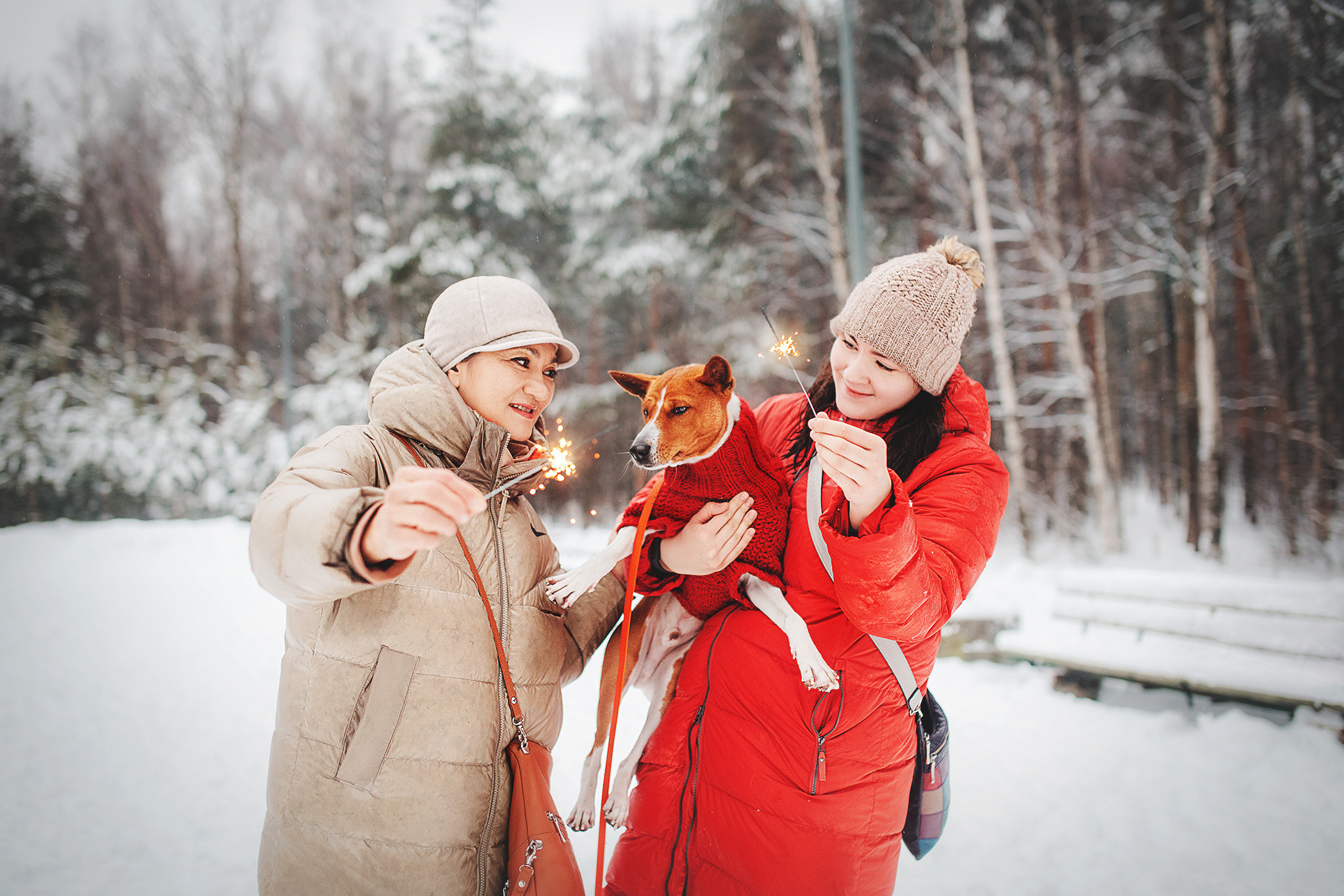 Семейная Юля, Барни и мама. Фотограф-анималист • love-story • Санкт-Петербург