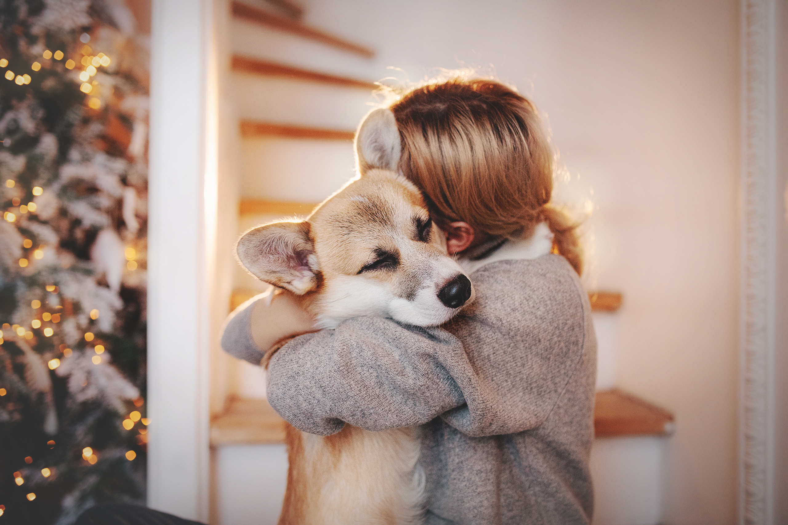 Ребята и Тимка. Фотограф-анималист • love-story • Санкт-Петербург