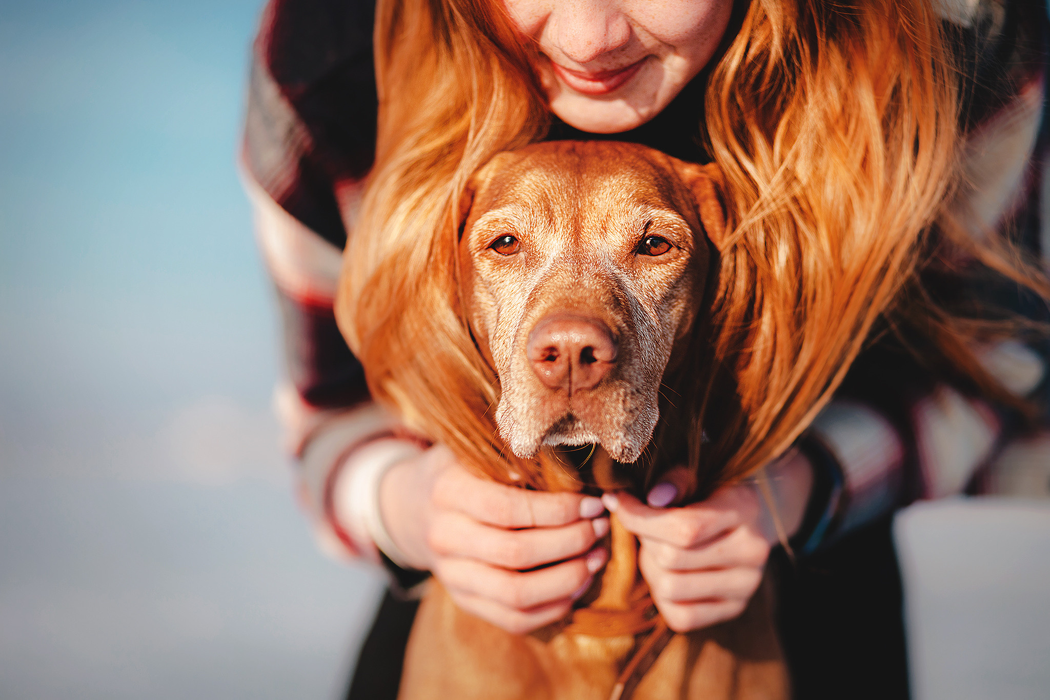 Выжла Паня и Алиса. Фотограф-анималист • love-story • Санкт-Петербург