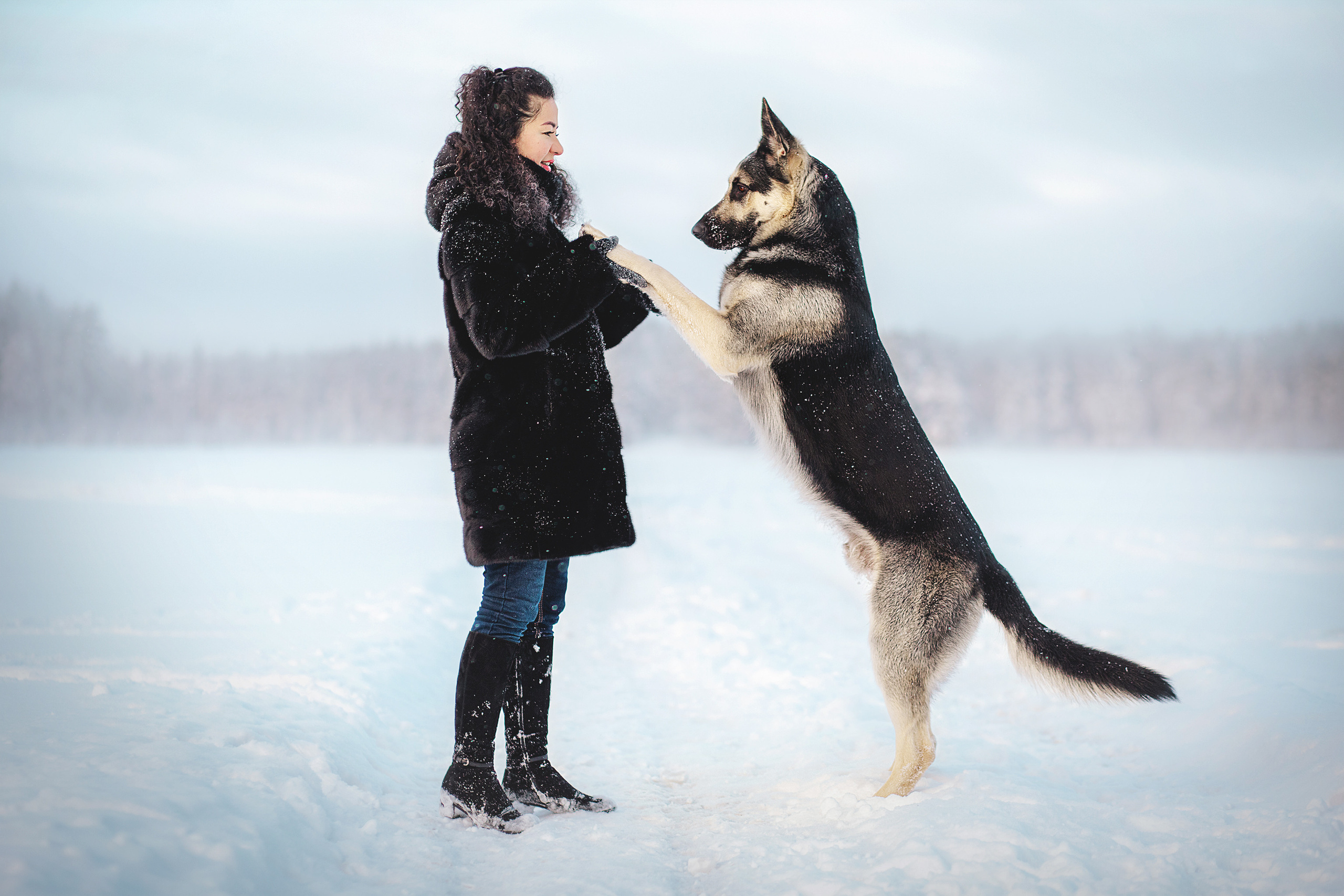 Люмбо и Дина. Фотограф-анималист • love-story • Санкт-Петербург