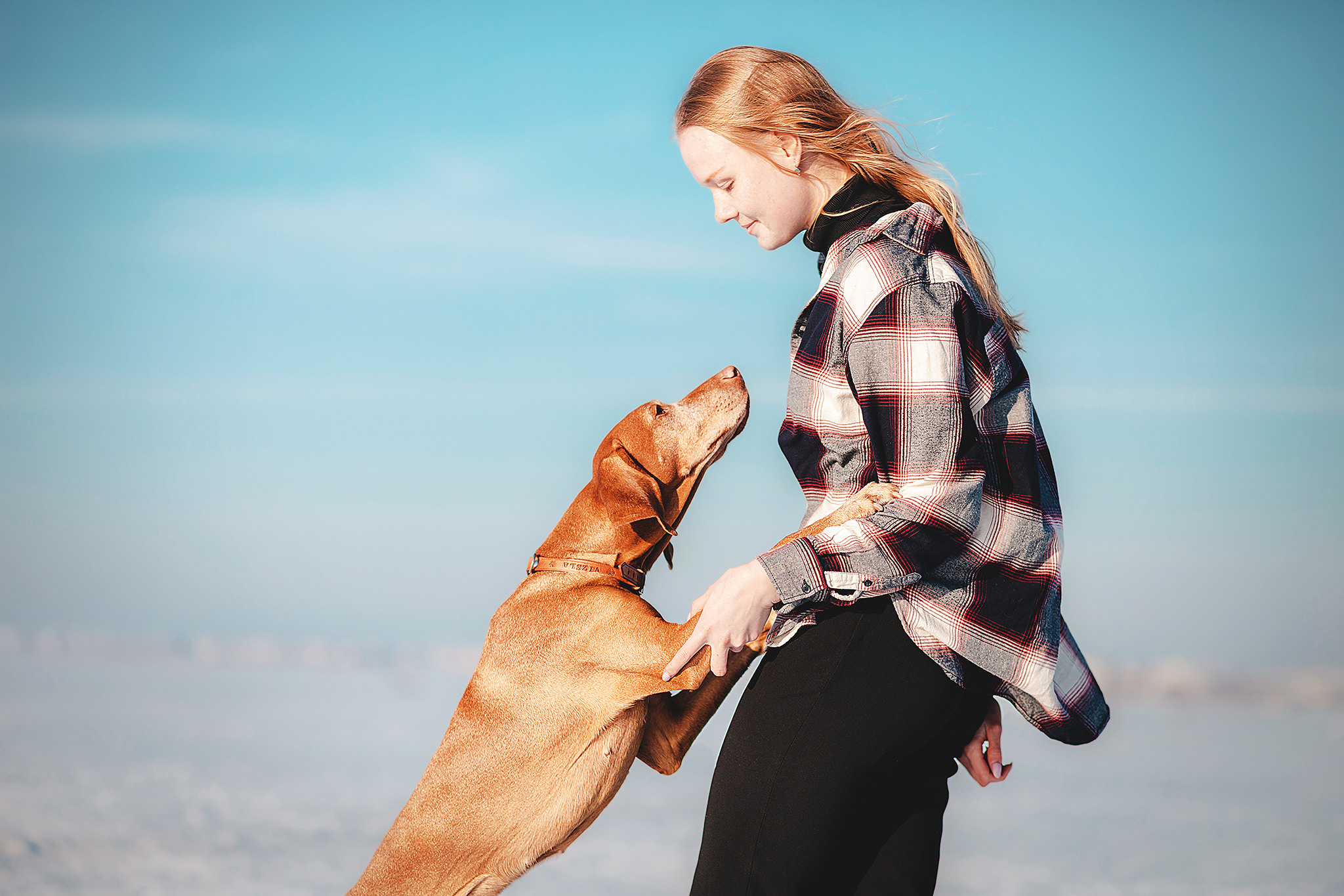 Выжла Паня и Алиса. Фотограф-анималист • love-story • Санкт-Петербург