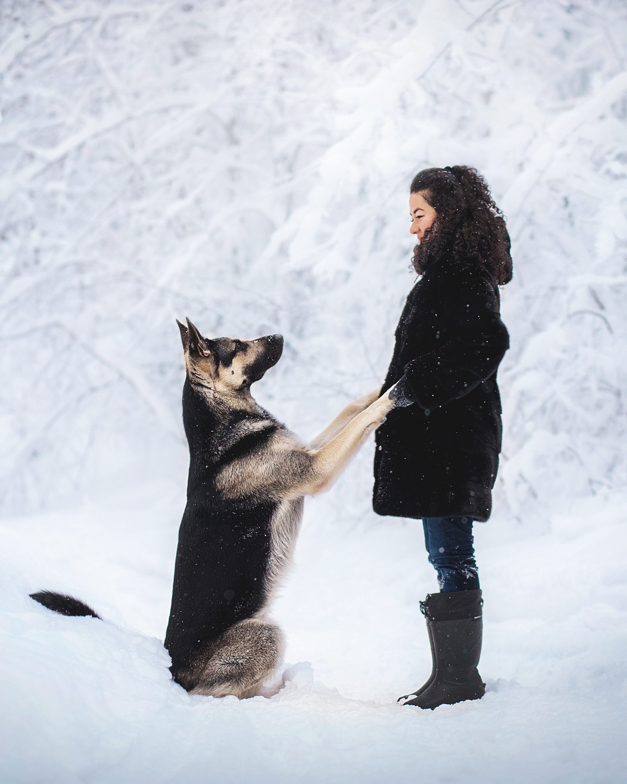 Люмбо и Дина. Фотограф-анималист • love-story • Санкт-Петербург