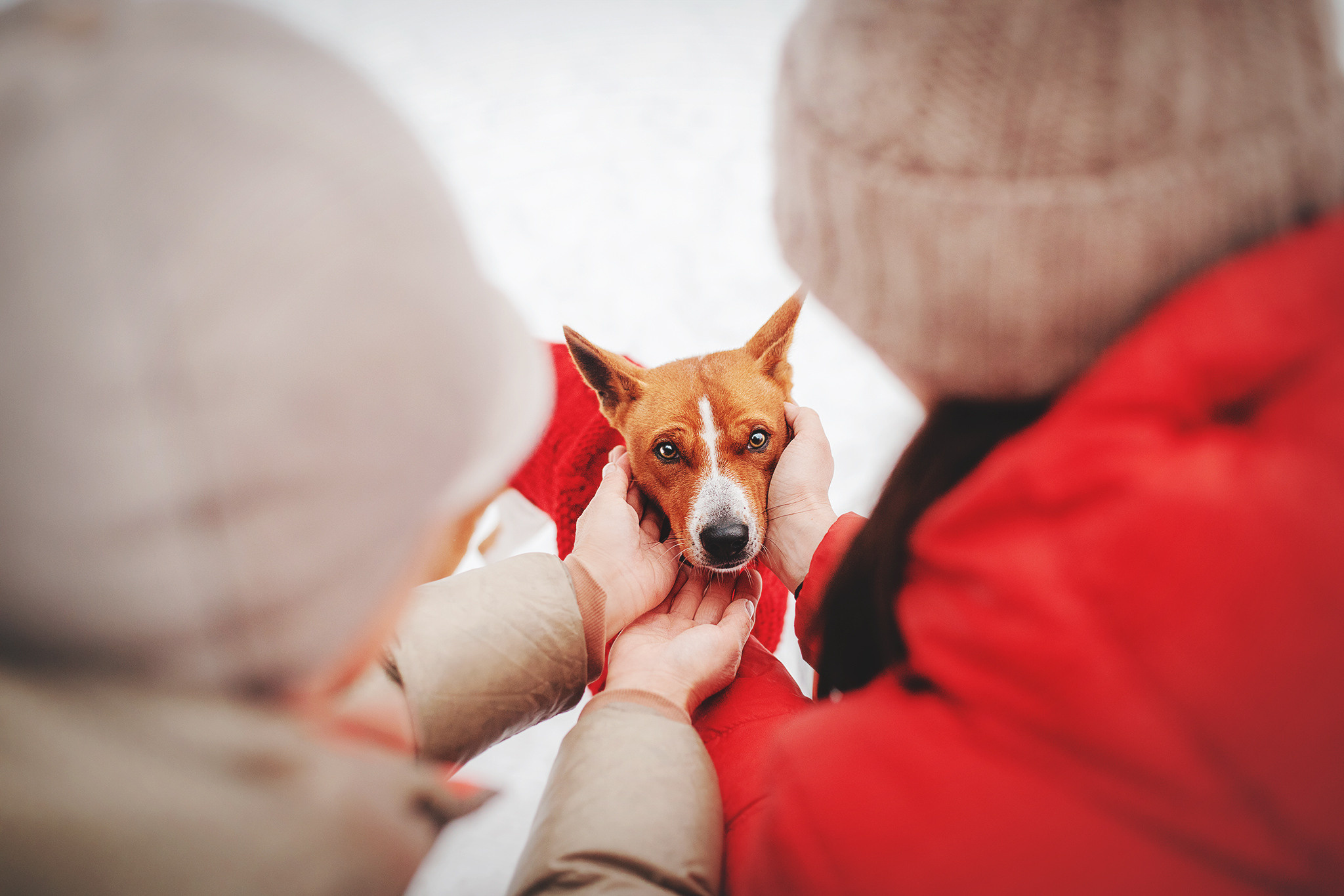 Семейная Юля, Барни и мама. Фотограф-анималист • love-story • Санкт-Петербург