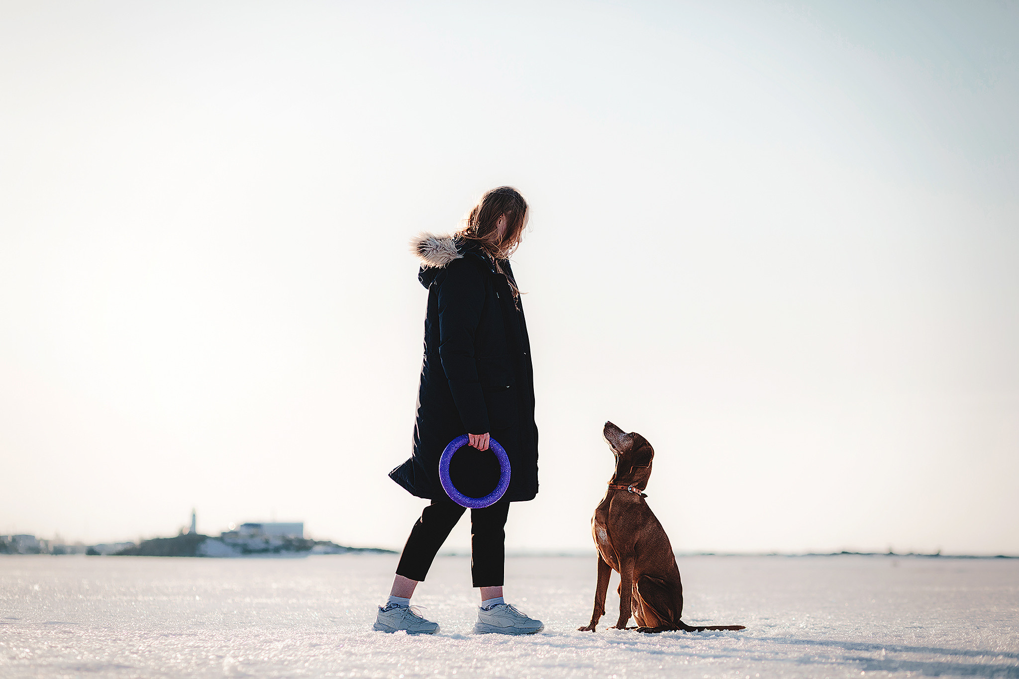 Выжла Паня и Алиса. Фотограф-анималист • love-story • Санкт-Петербург