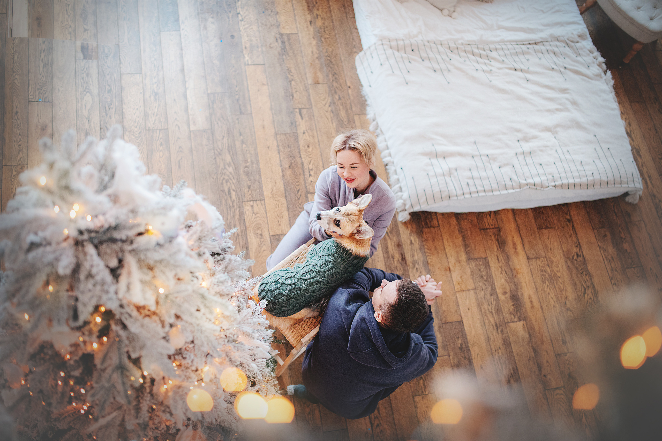 Ребята и Тимка. Фотограф-анималист • love-story • Санкт-Петербург