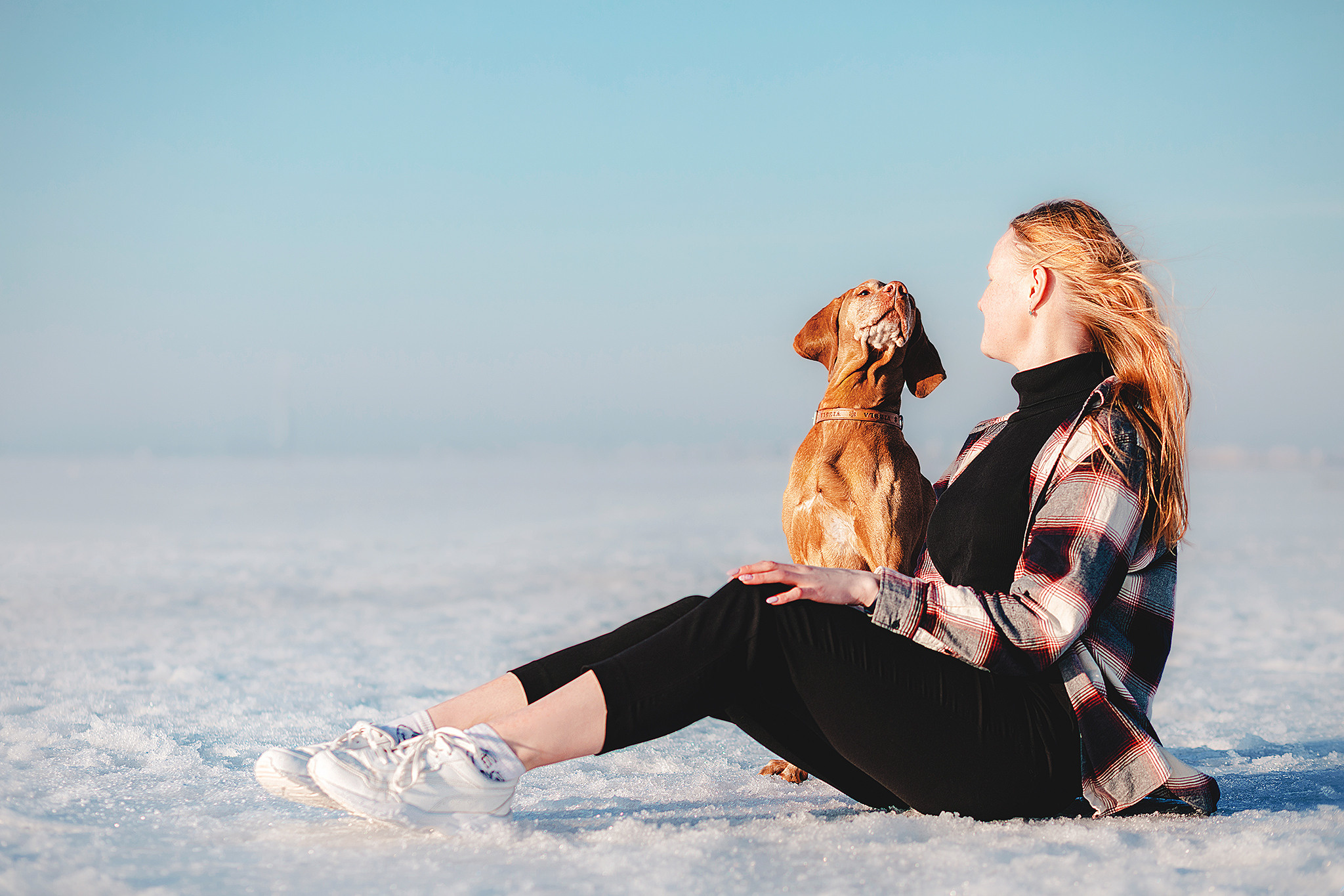 Выжла Паня и Алиса. Фотограф-анималист • love-story • Санкт-Петербург